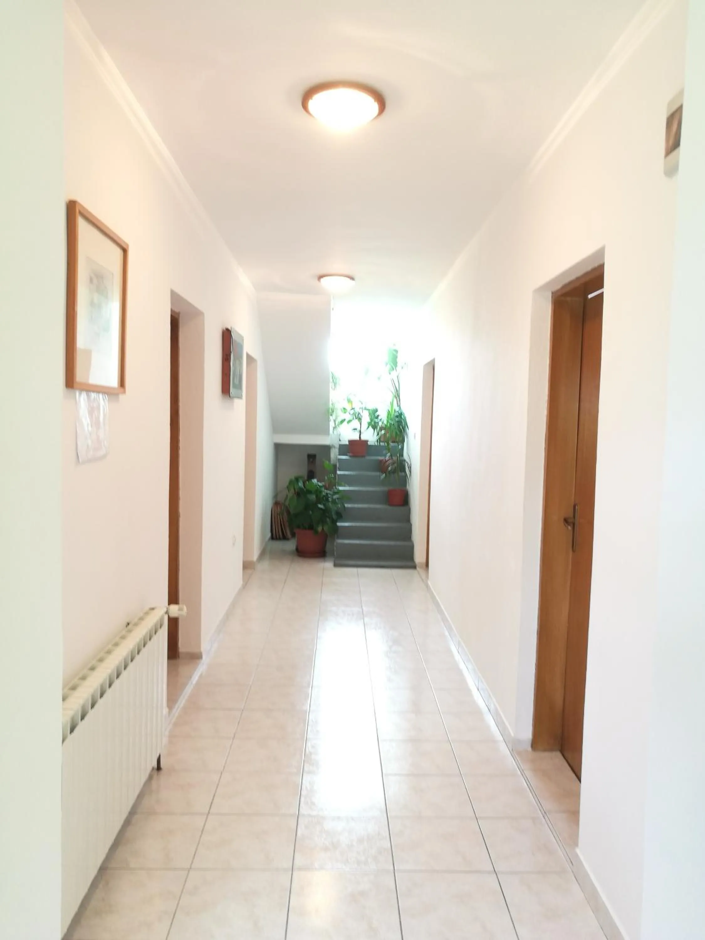 Apartments Jure