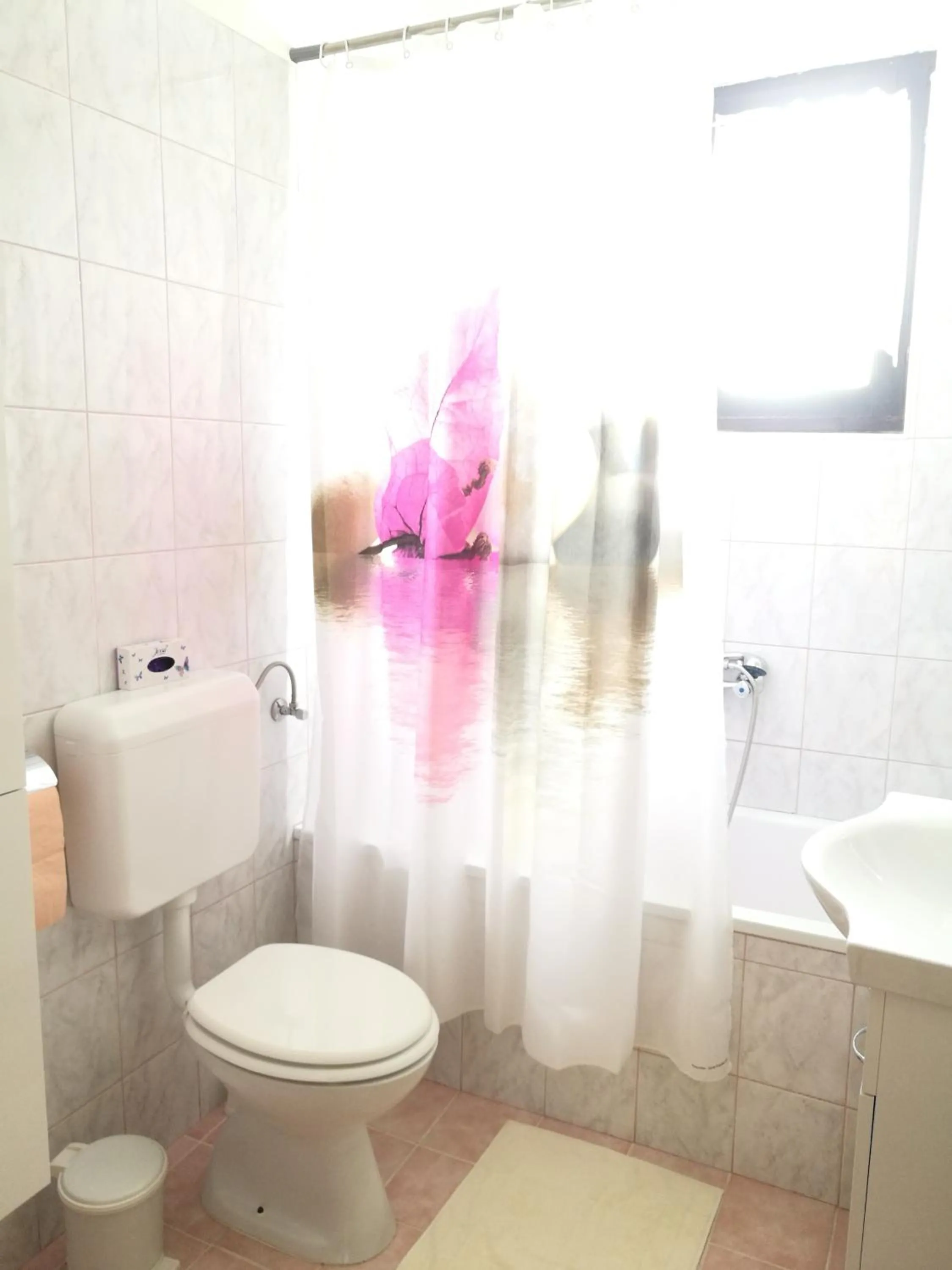 Apartments Jure