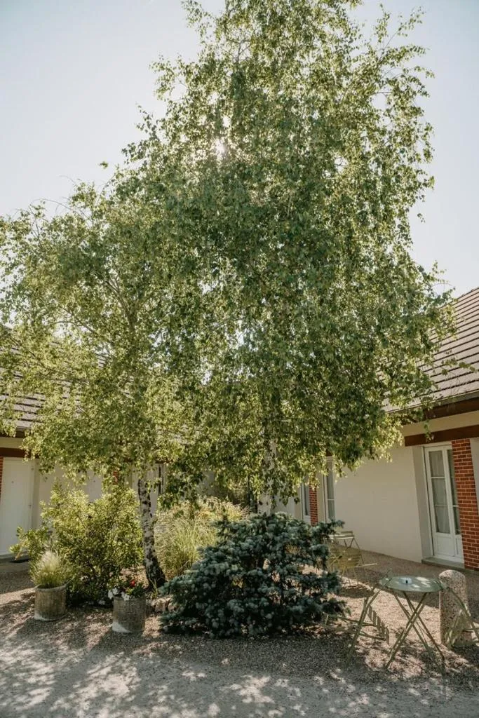 Garden in Logis Hôtel du Château