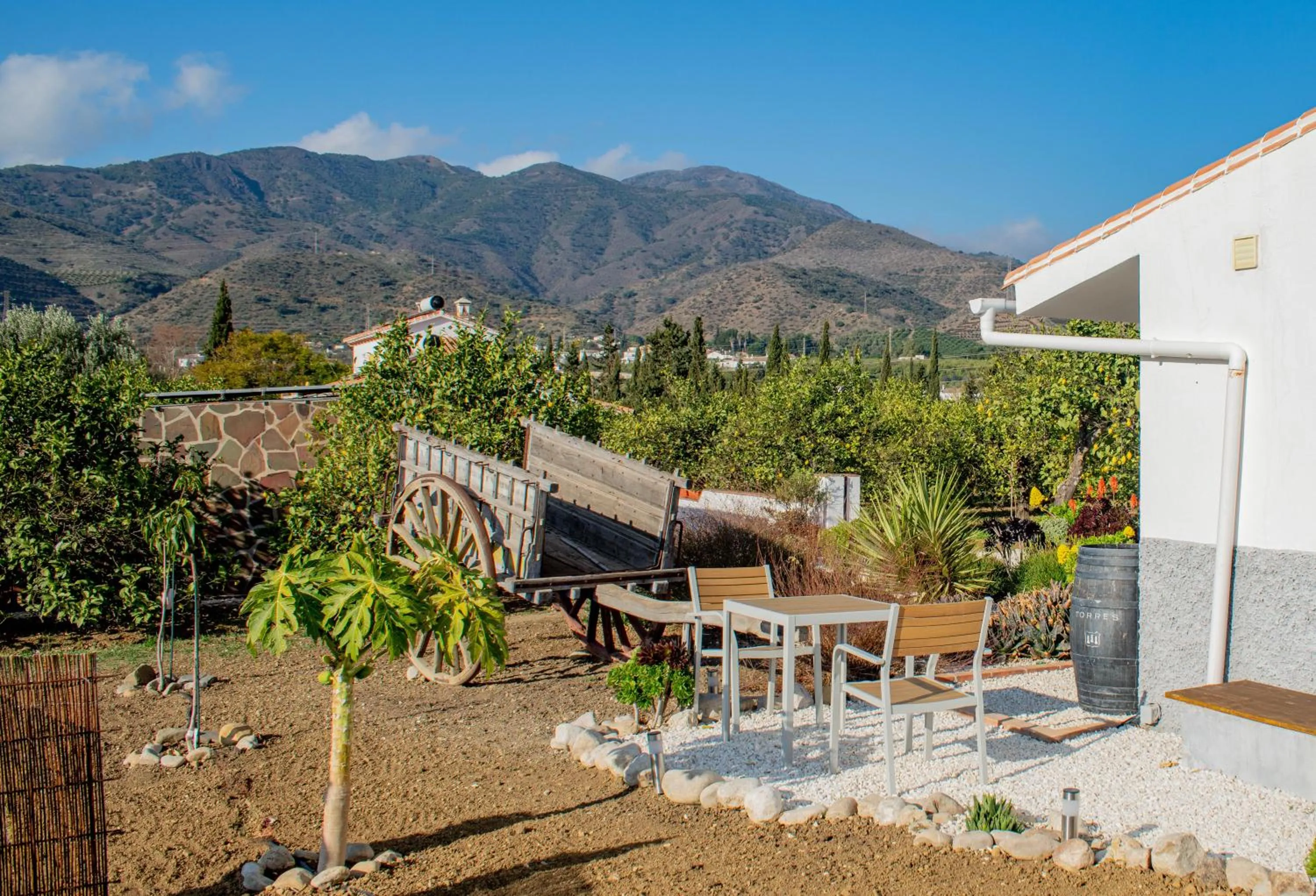 Garden view in Finca El Limonar