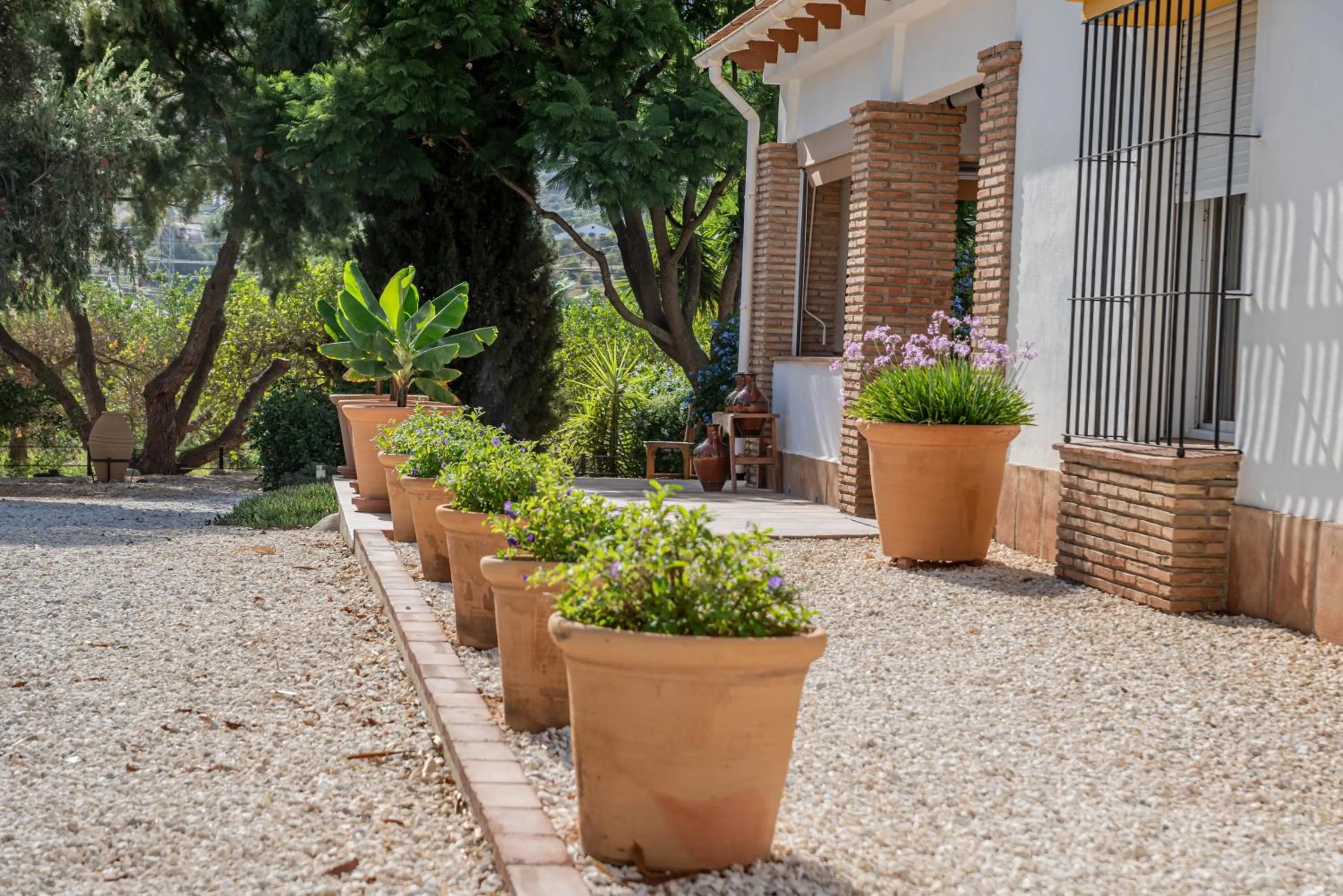 Garden view in Finca El Limonar