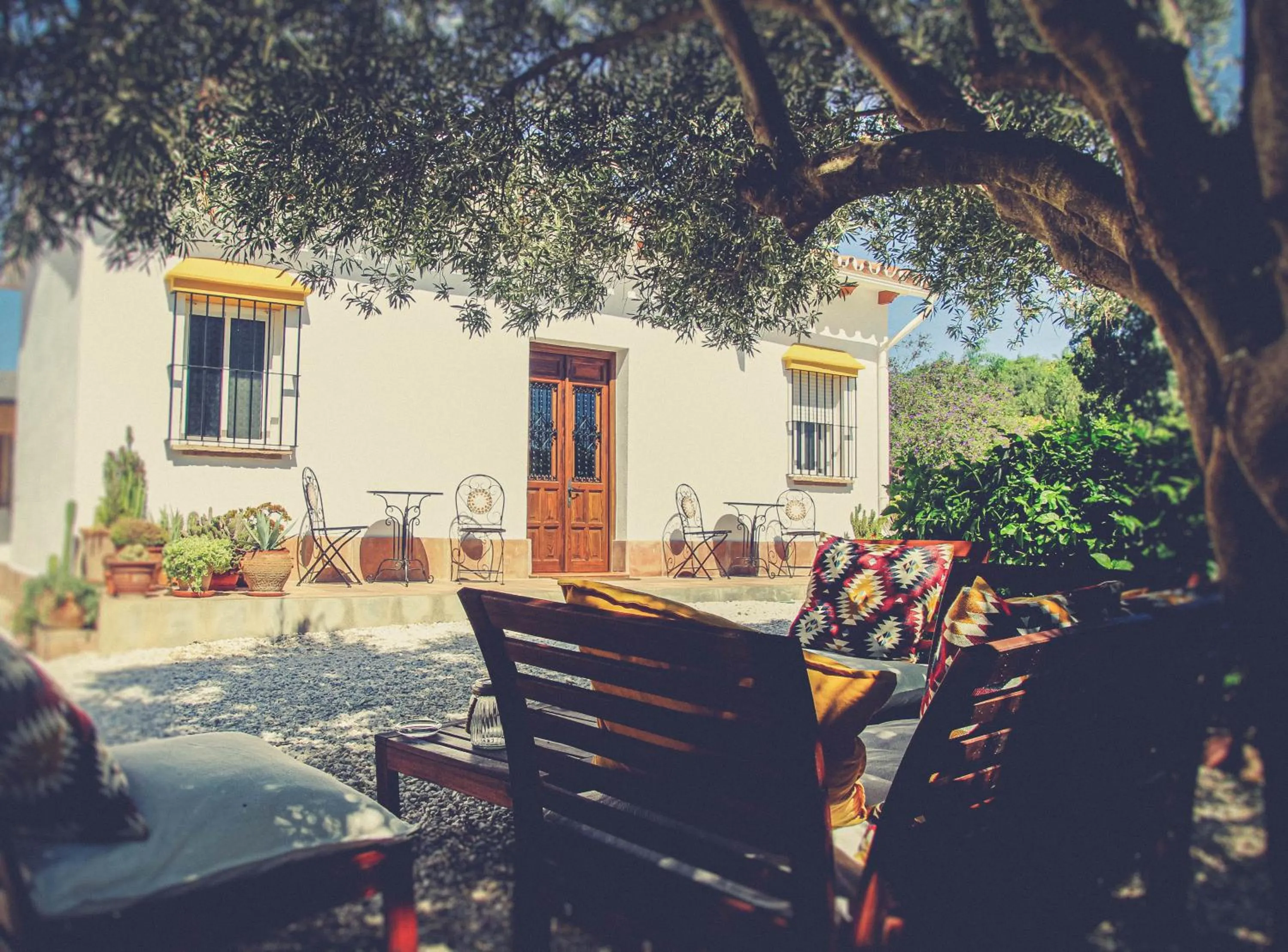 Property building in Finca El Limonar