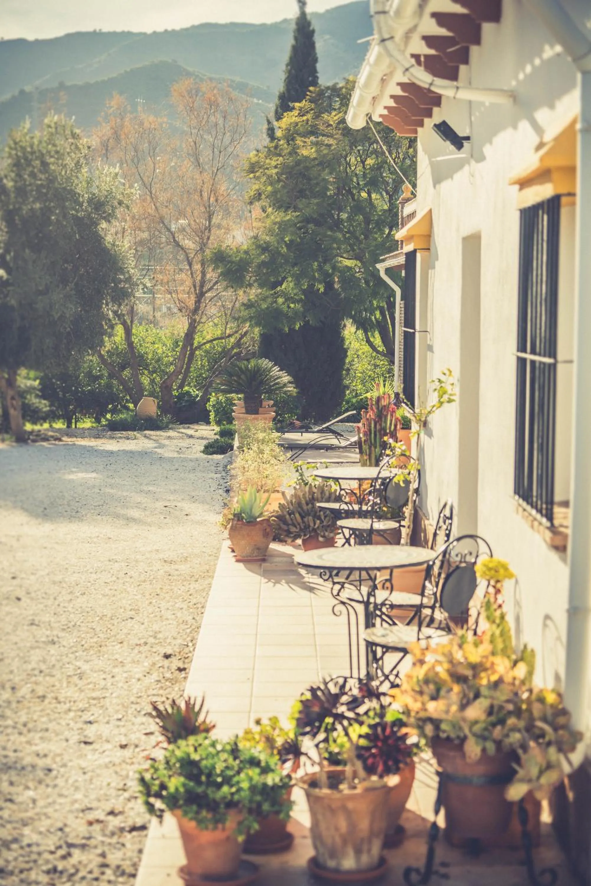 Property building in Finca El Limonar