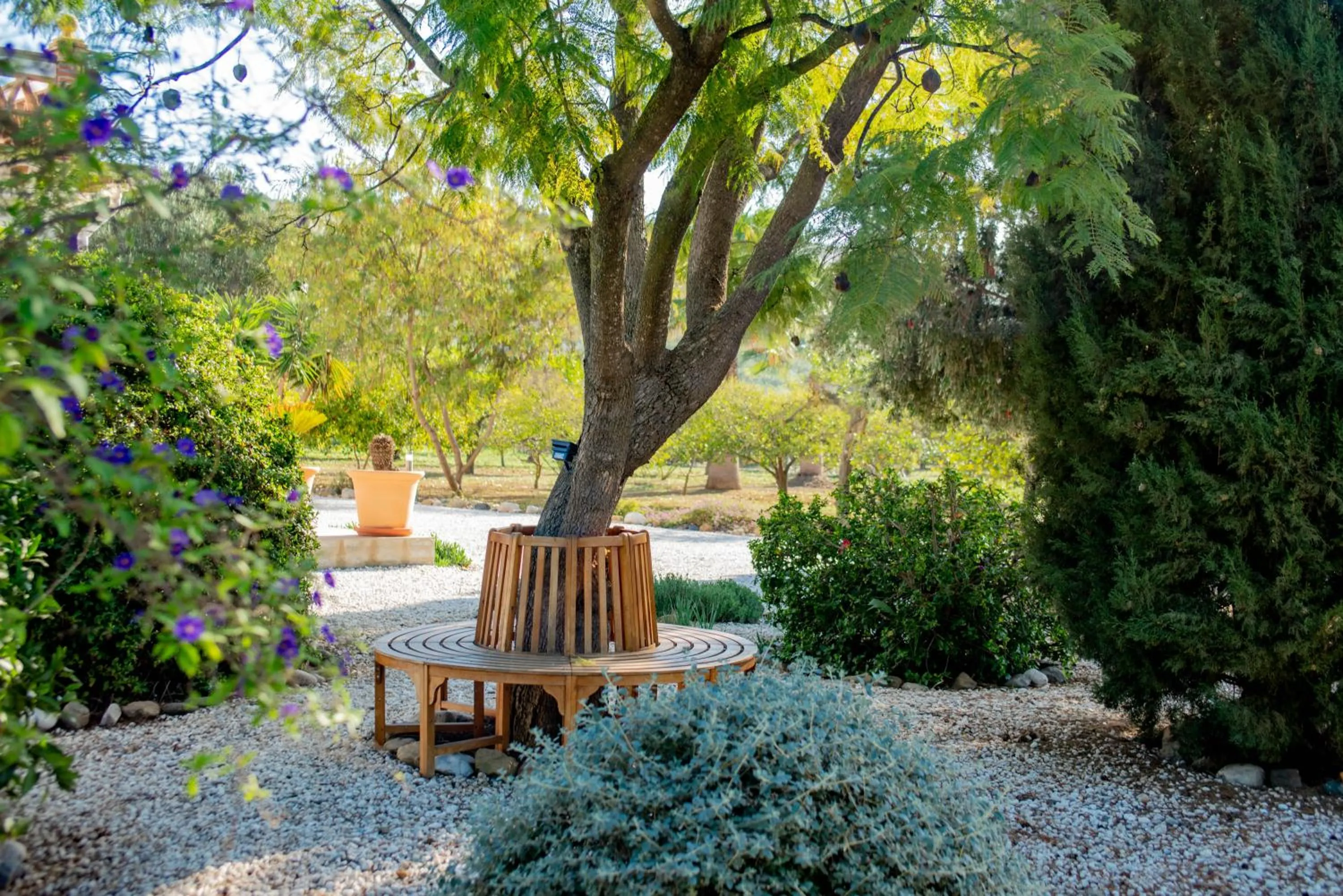 Garden in Finca El Limonar