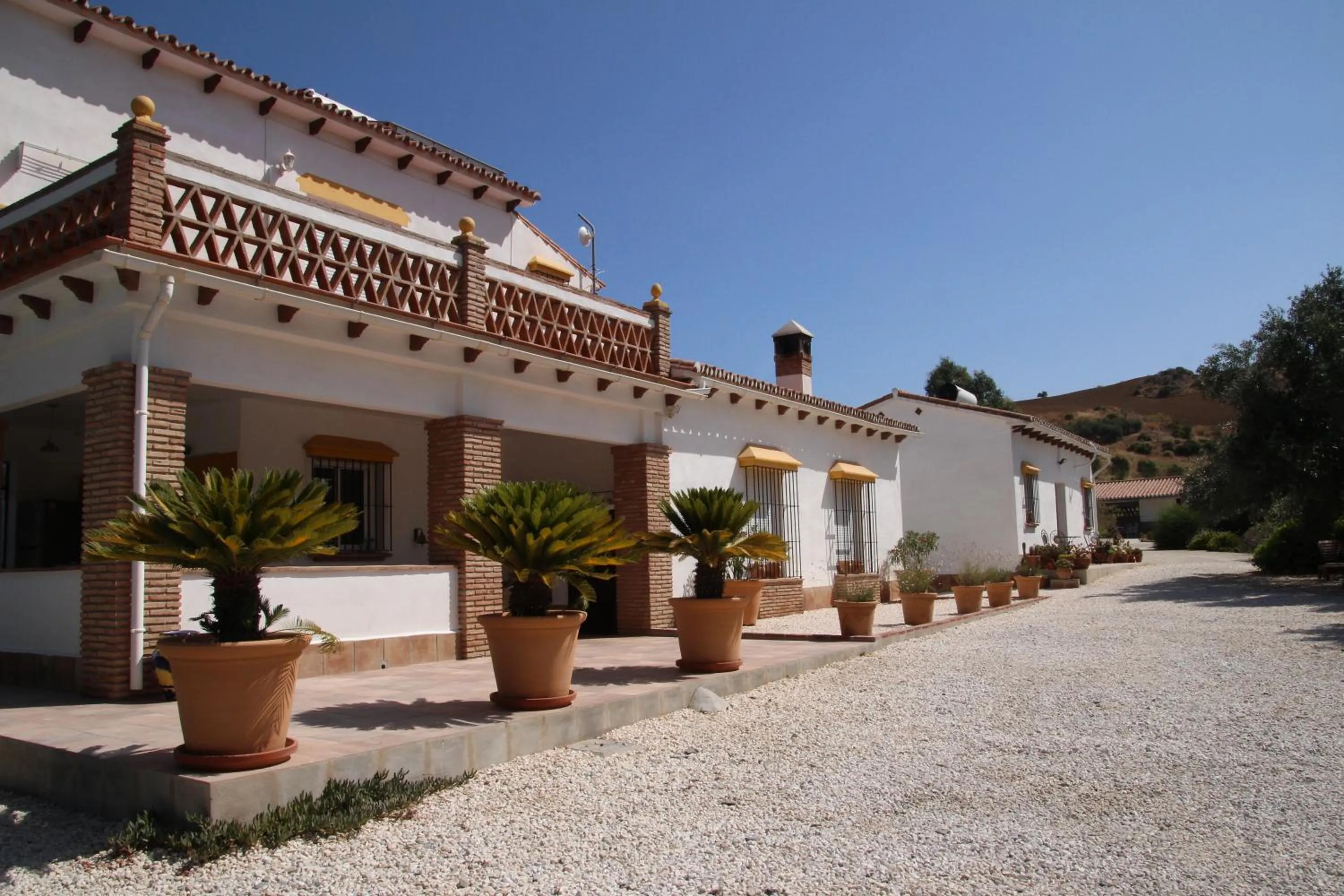 Property building in Finca El Limonar