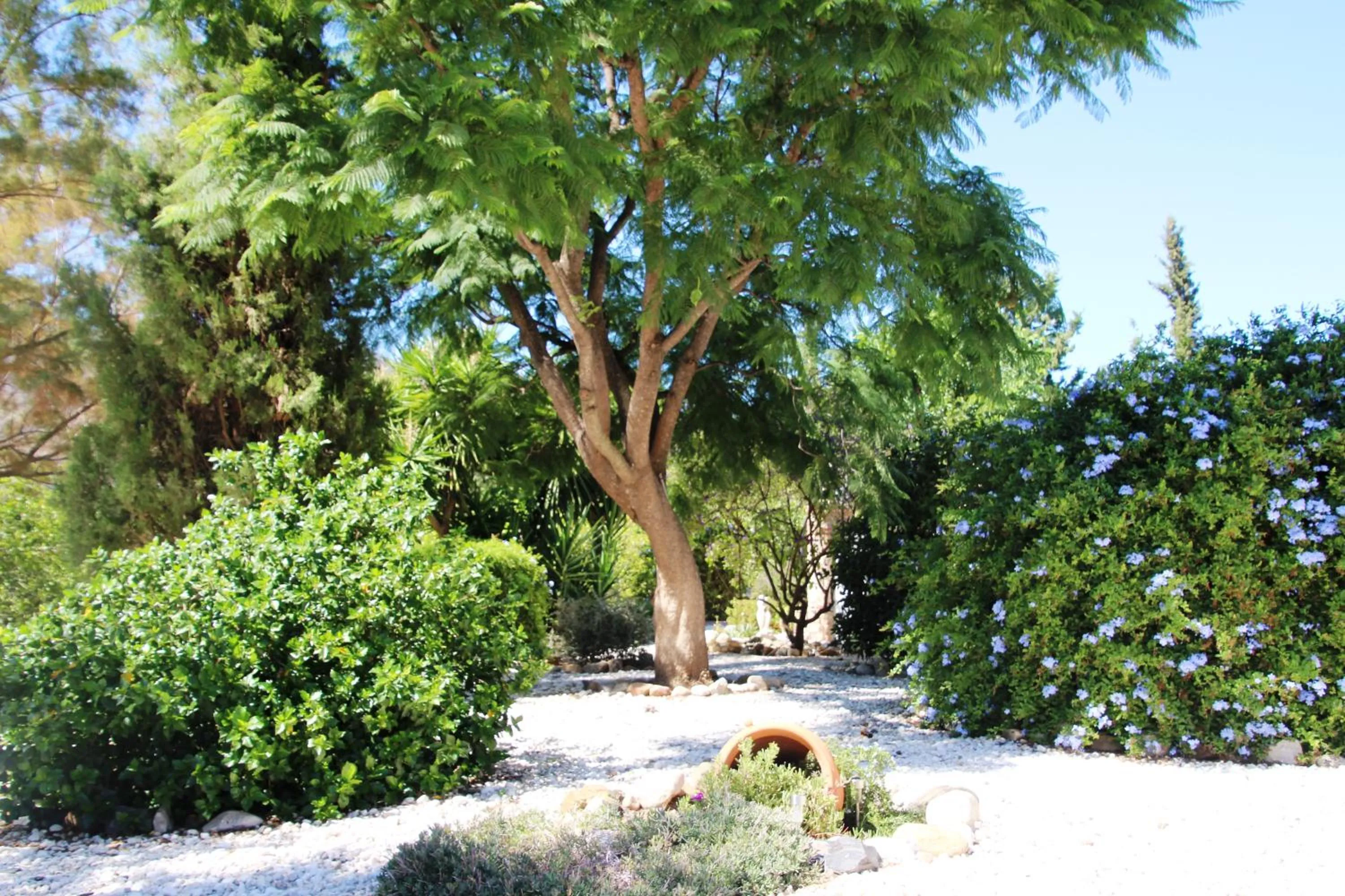 Area and facilities in Finca El Limonar