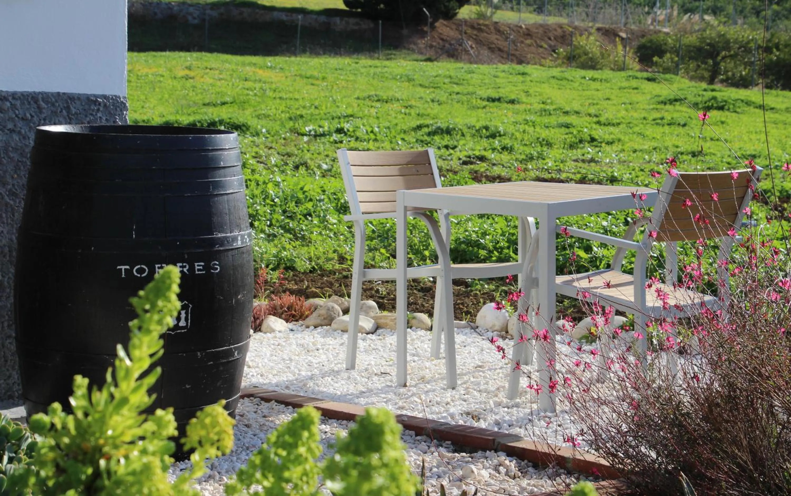 Seating area in Finca El Limonar