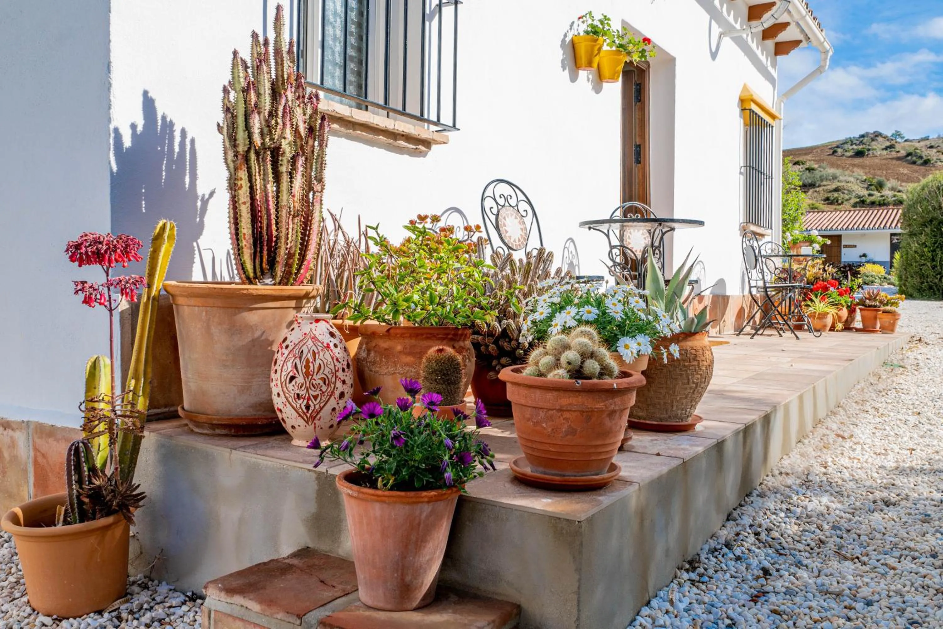 Garden in Finca El Limonar