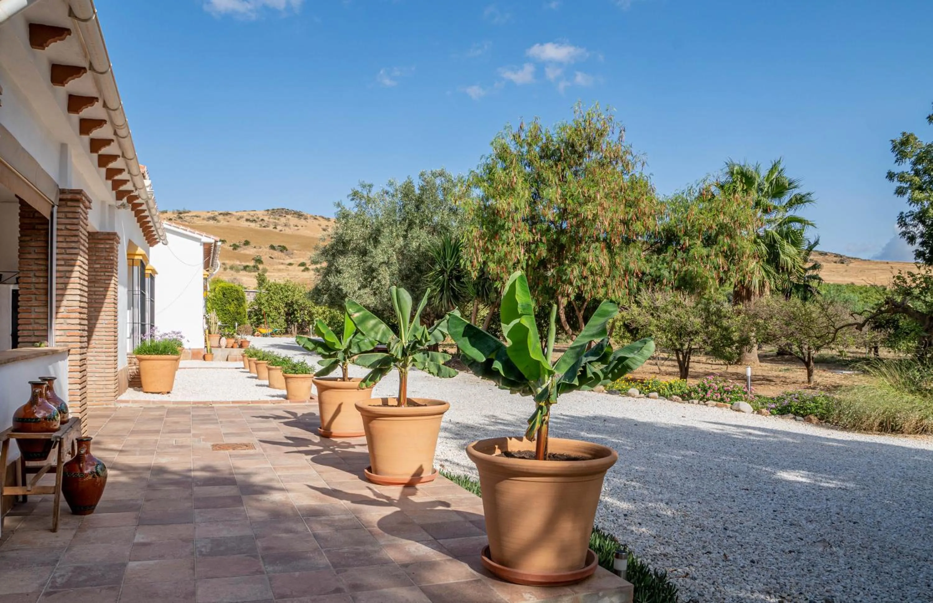 Property building in Finca El Limonar