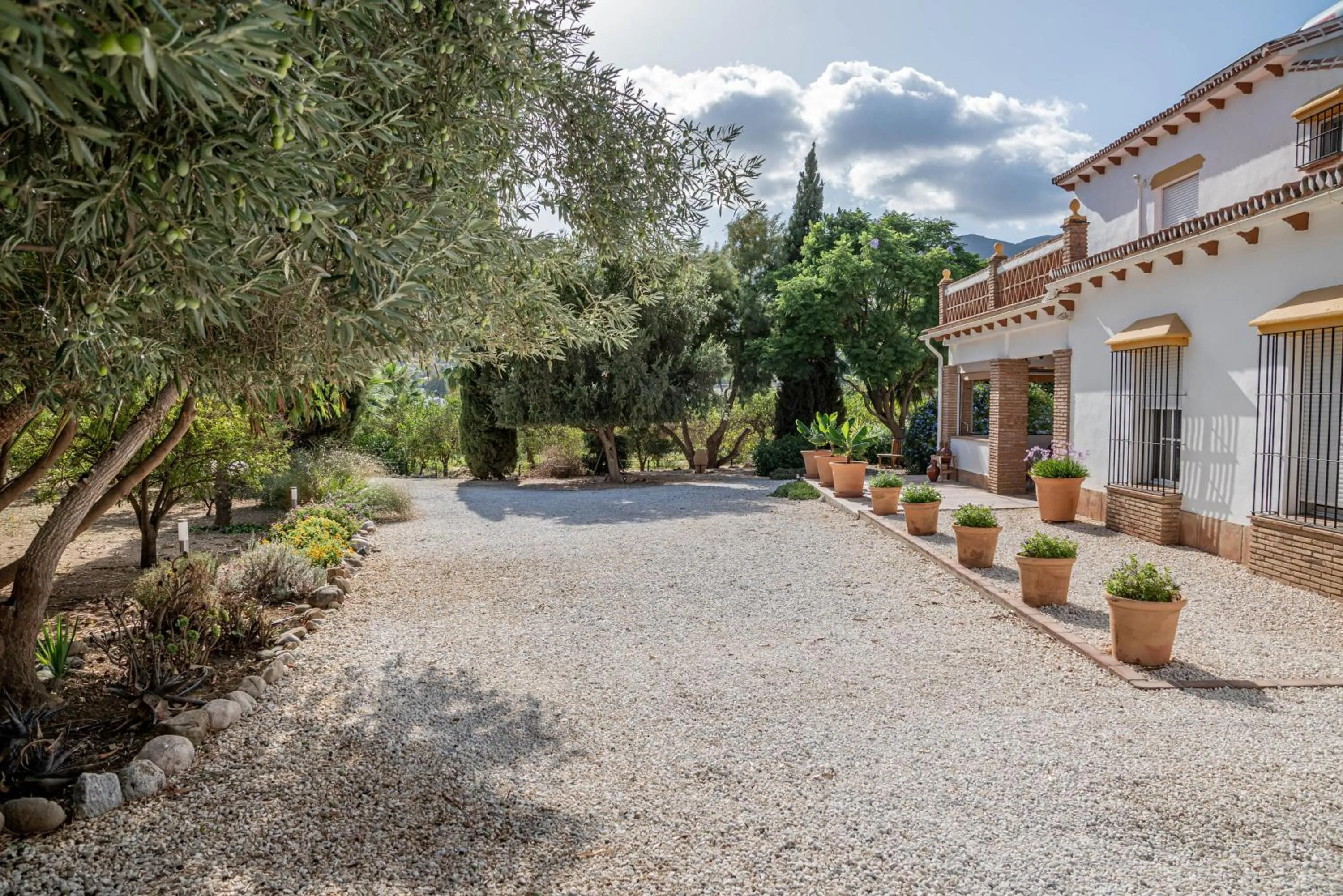 Property building in Finca El Limonar