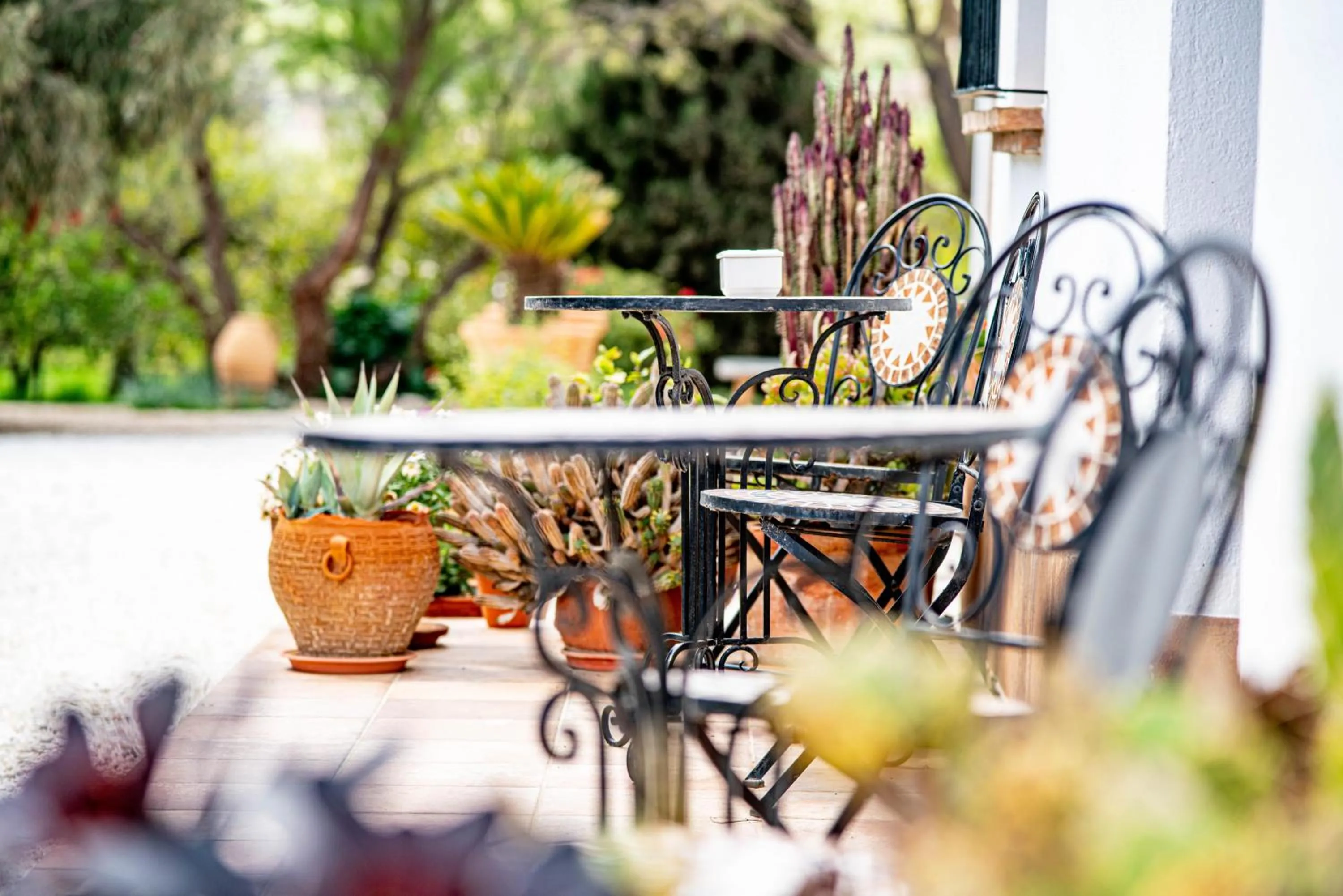 Garden in Finca El Limonar