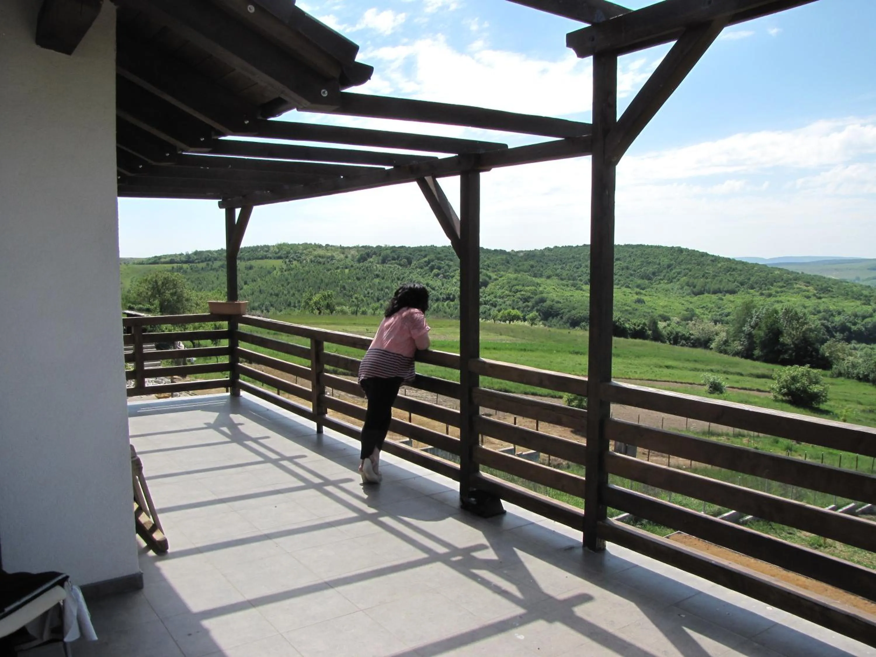 Balcony/Terrace in Agropensiunea Maris