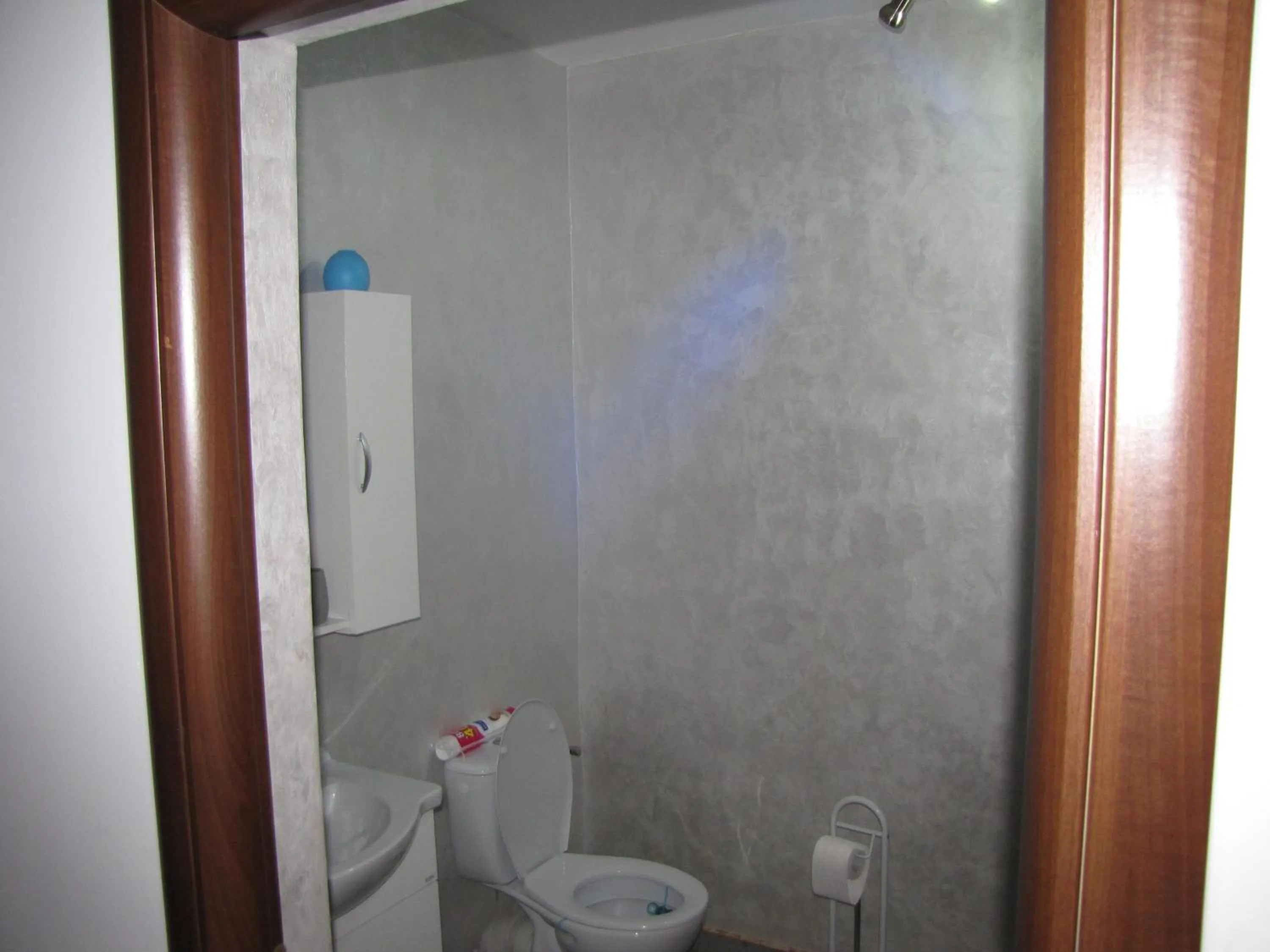 Bathroom in Agropensiunea Maris