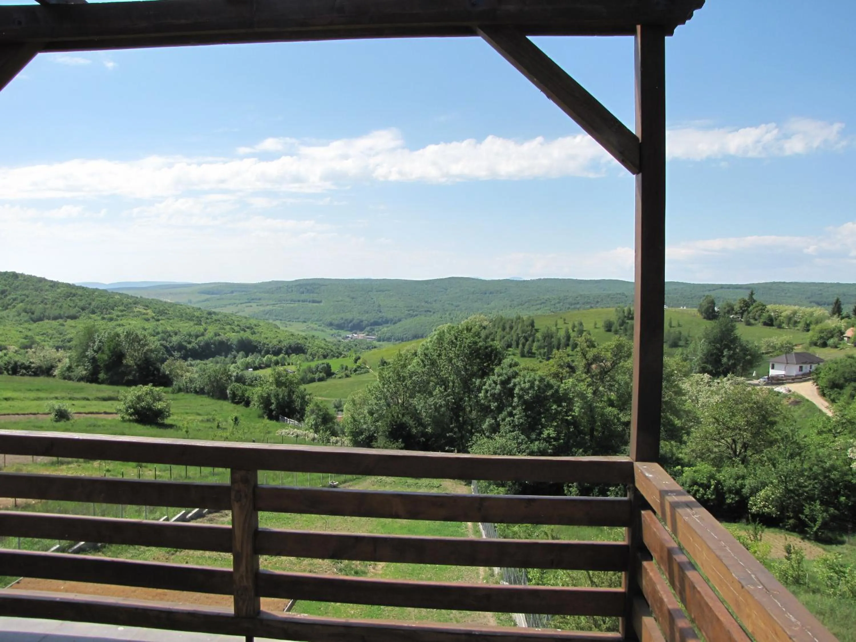 Restaurant/places to eat in Agropensiunea Maris