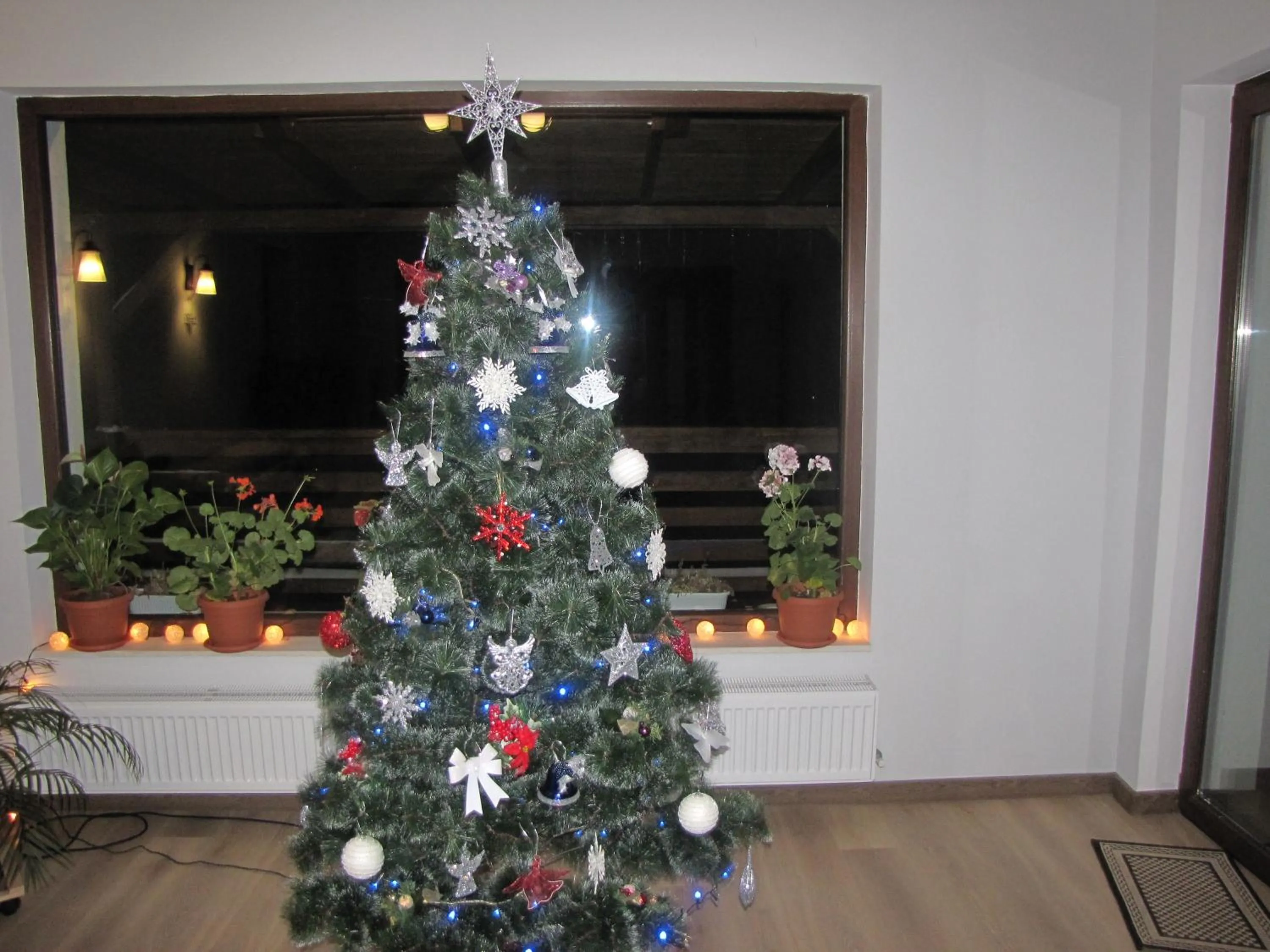 Entertainment in Agropensiunea Maris