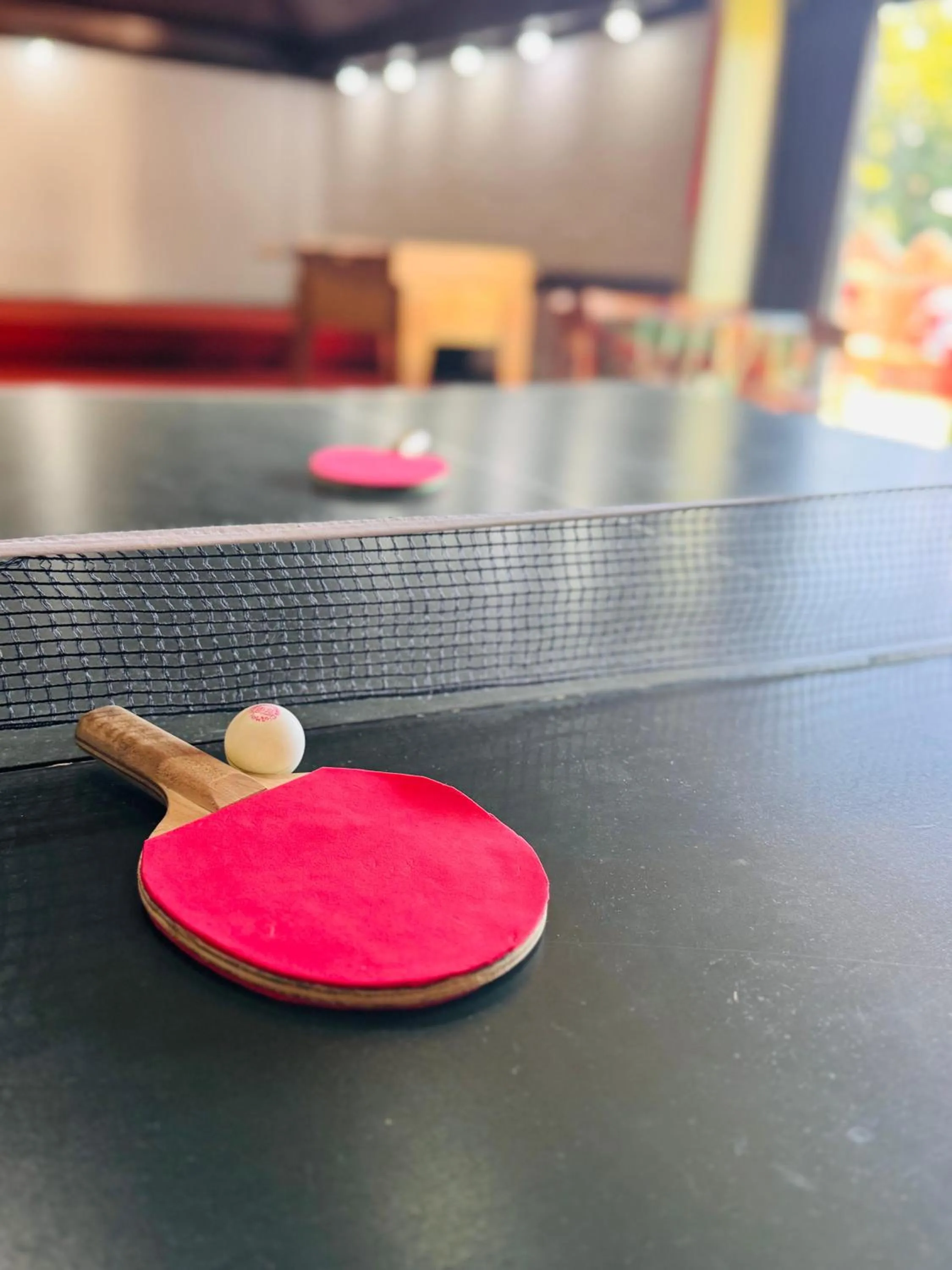 Table tennis in Hotel Horacio Quiroga