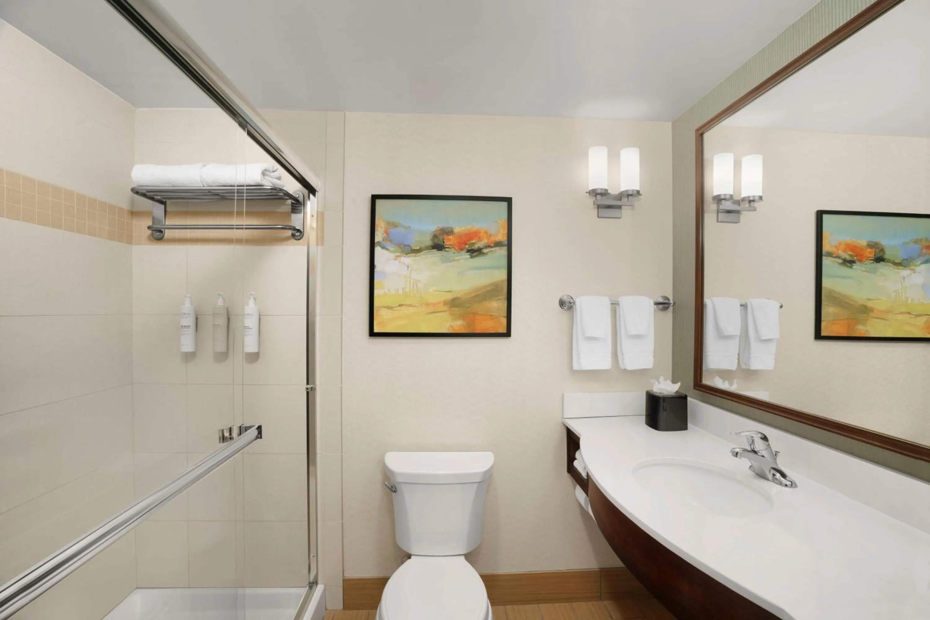 Bathroom in Hilton Garden Inn Ogden