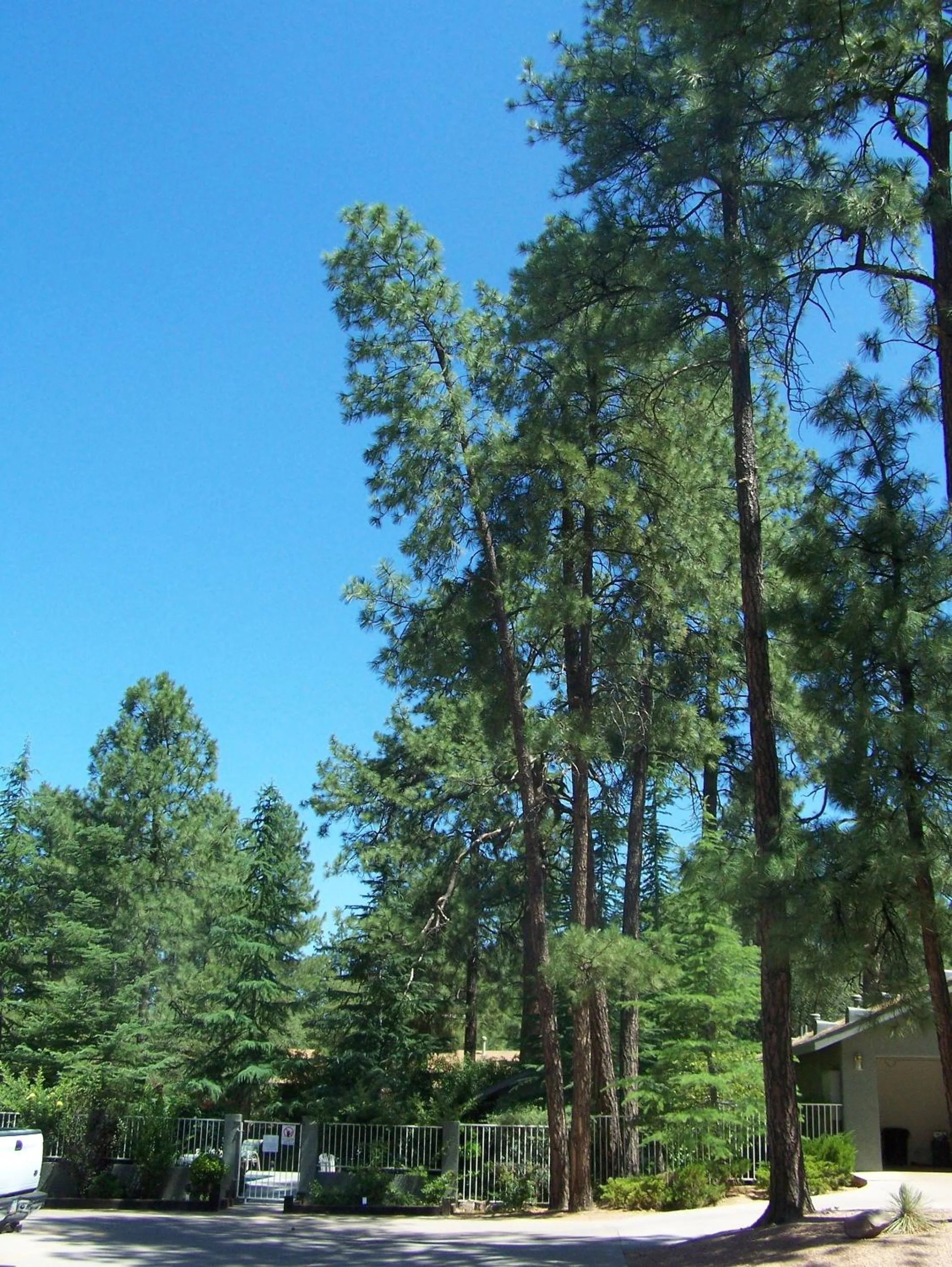 Area and facilities in Majestic Mountain Inn