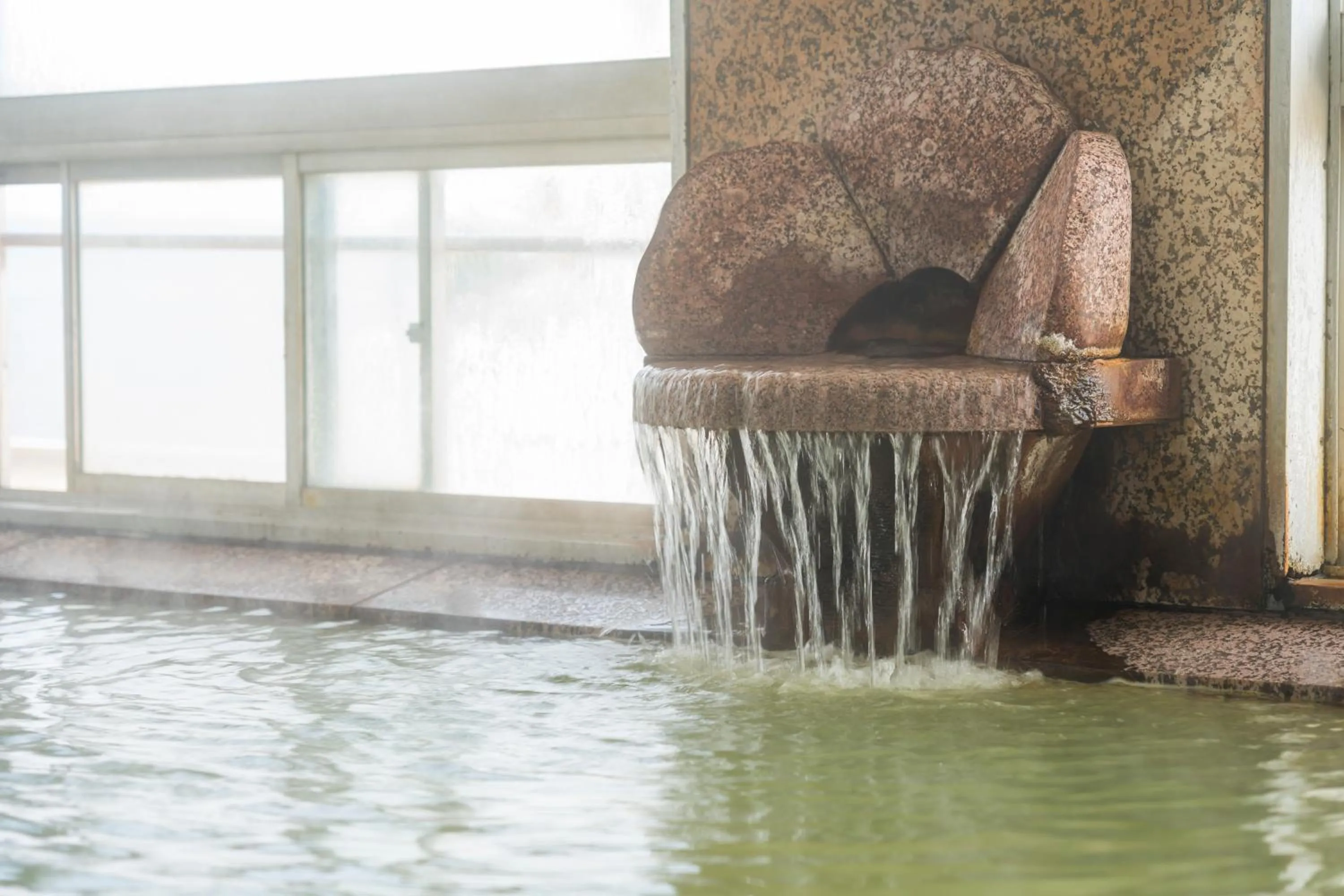 Ibusuki Seaside Hotel