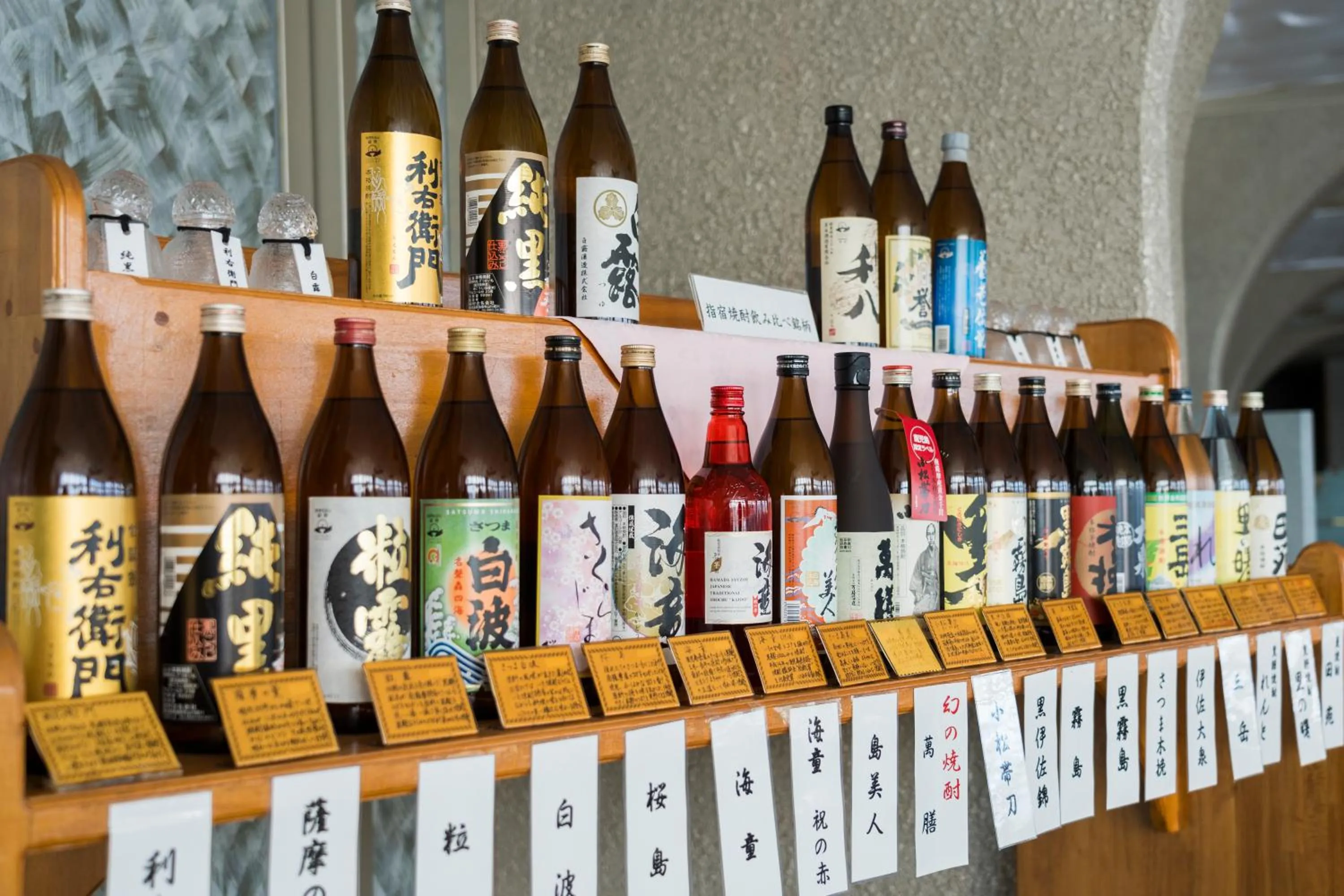 Ibusuki Seaside Hotel