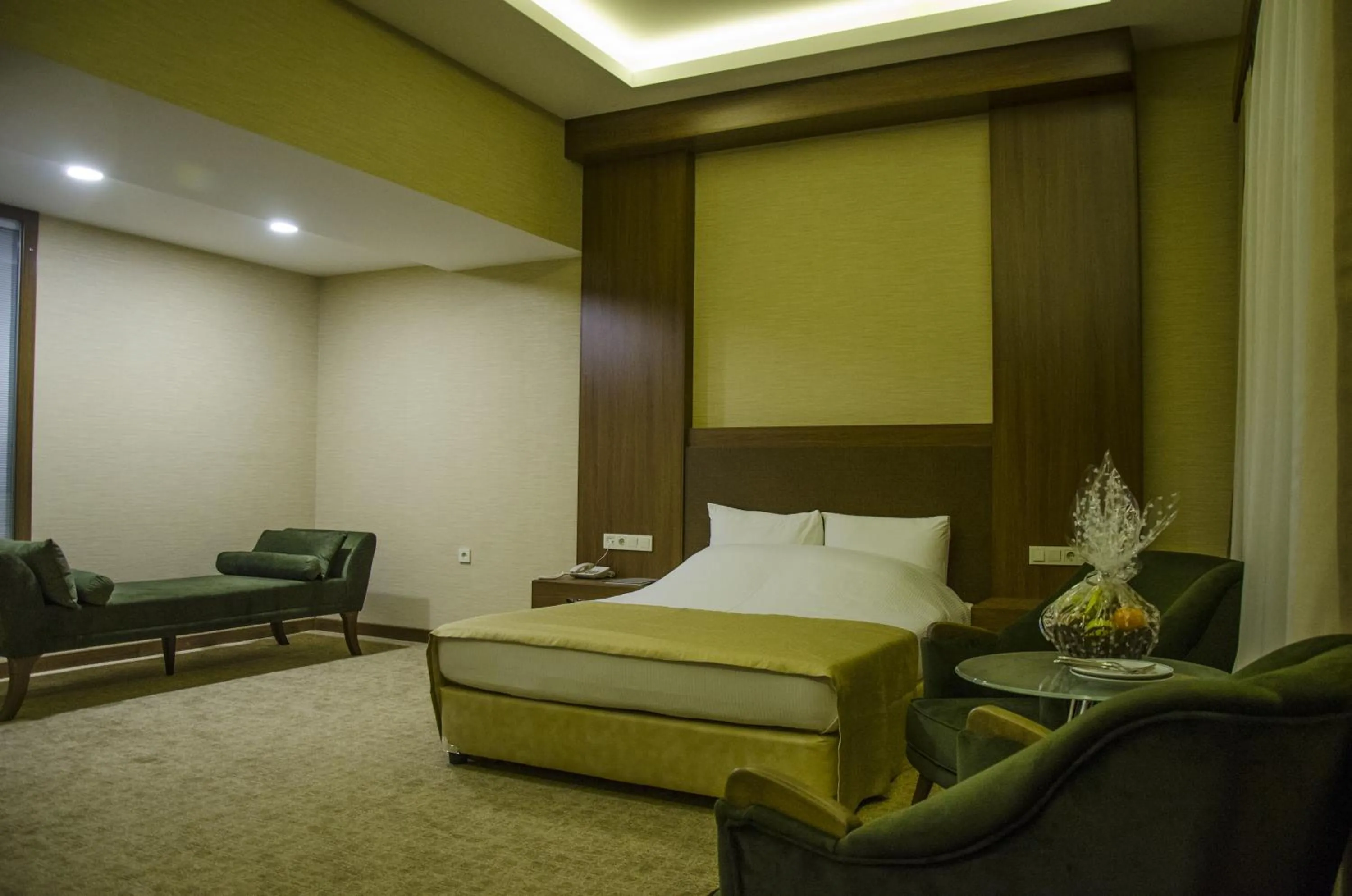 Photo of the whole room in Hotel Tilmen