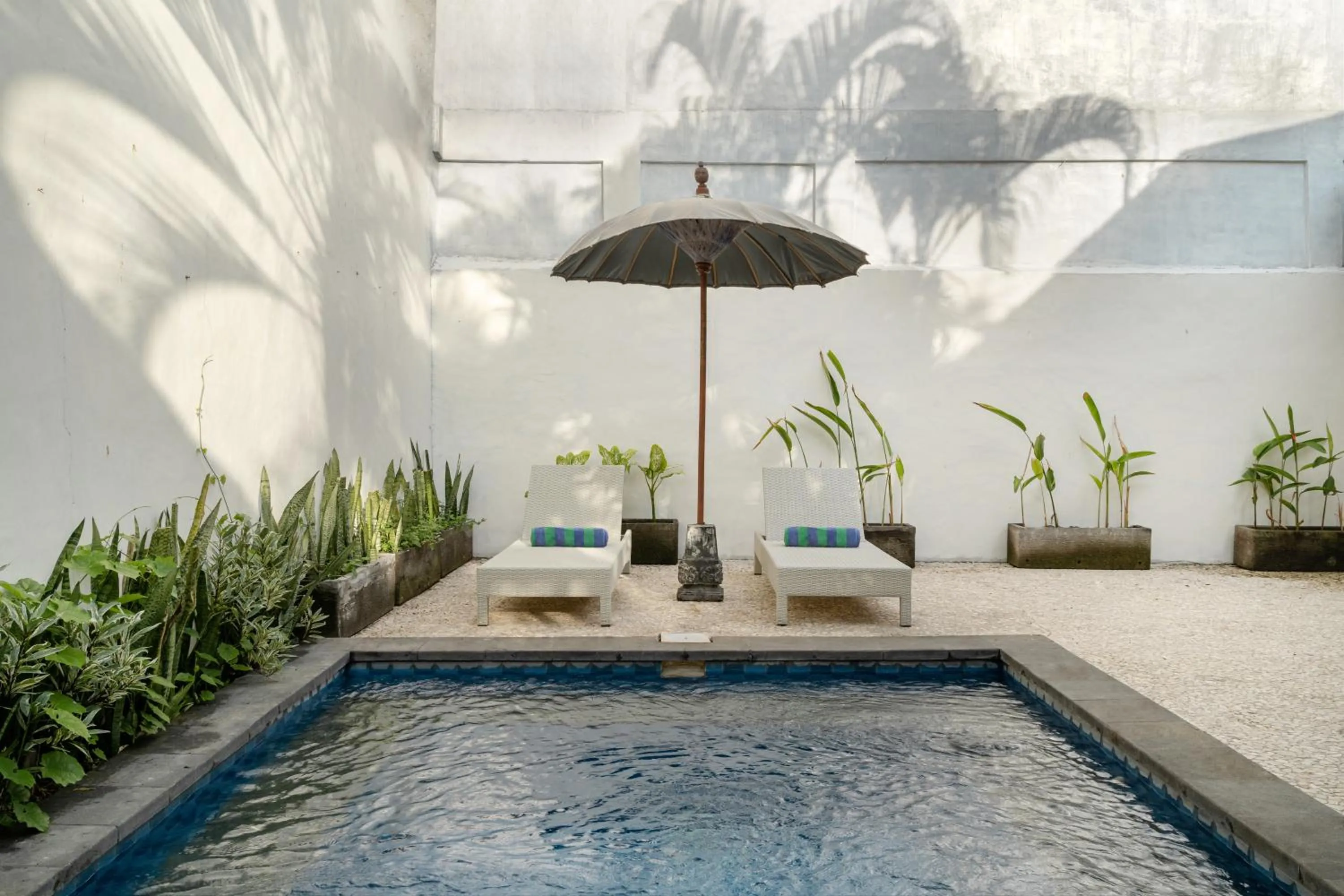 Swimming pool in The Chillhouse Canggu by BVR Bali Holiday Rentals