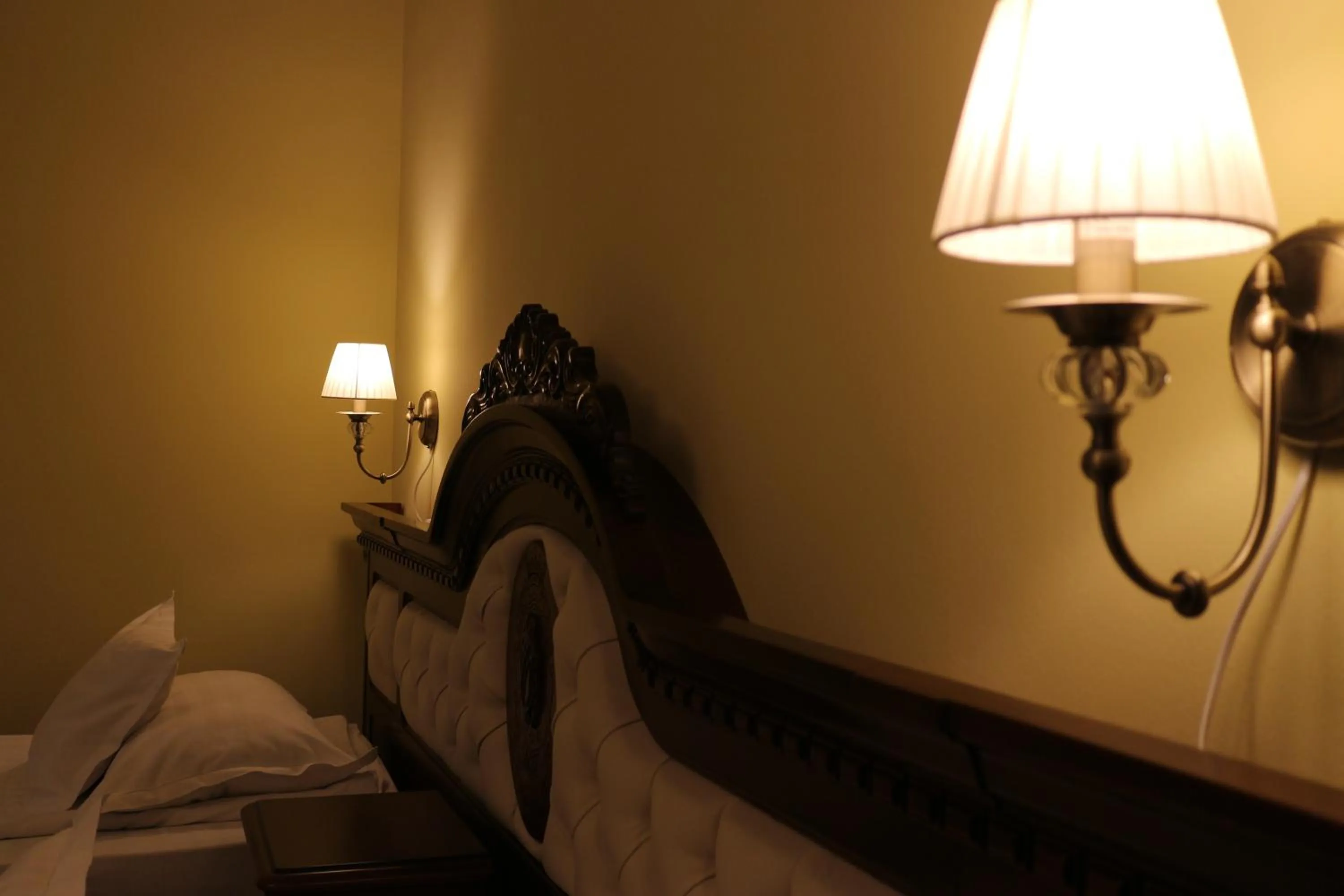 Photo of the whole room in Hotel Astoria