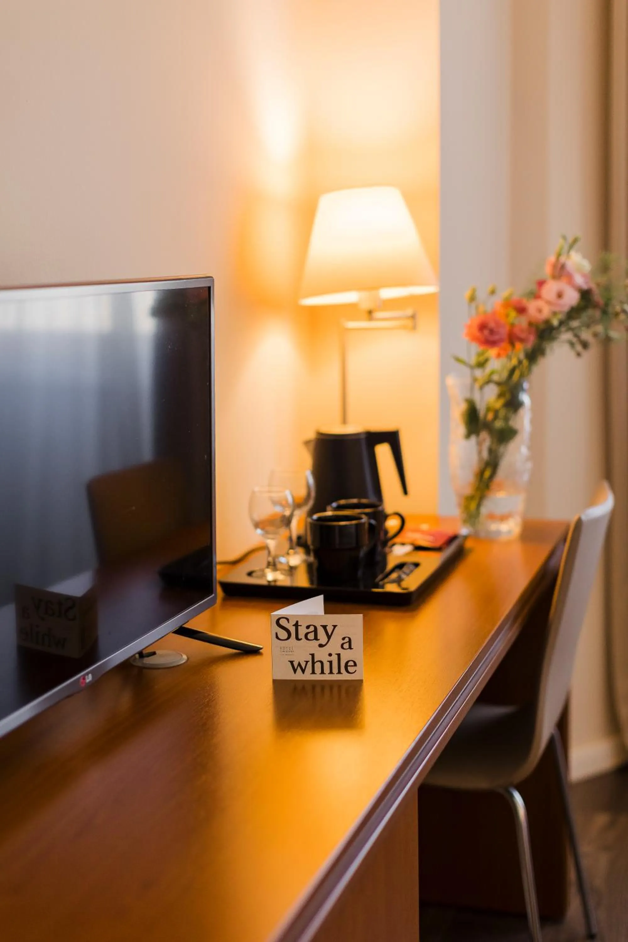 TV and multimedia in Hotel Timisoara