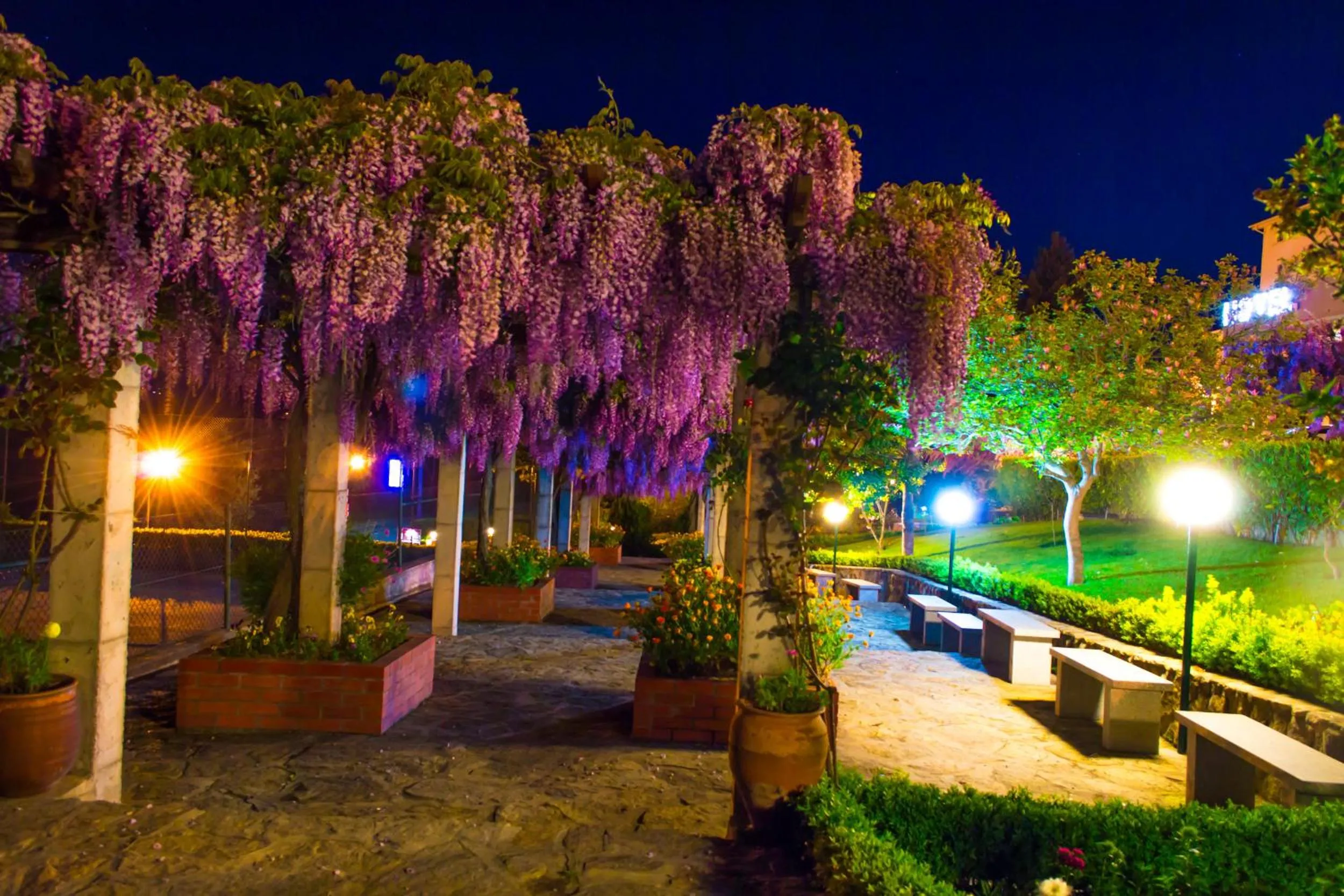 Garden in Hotel Belsol