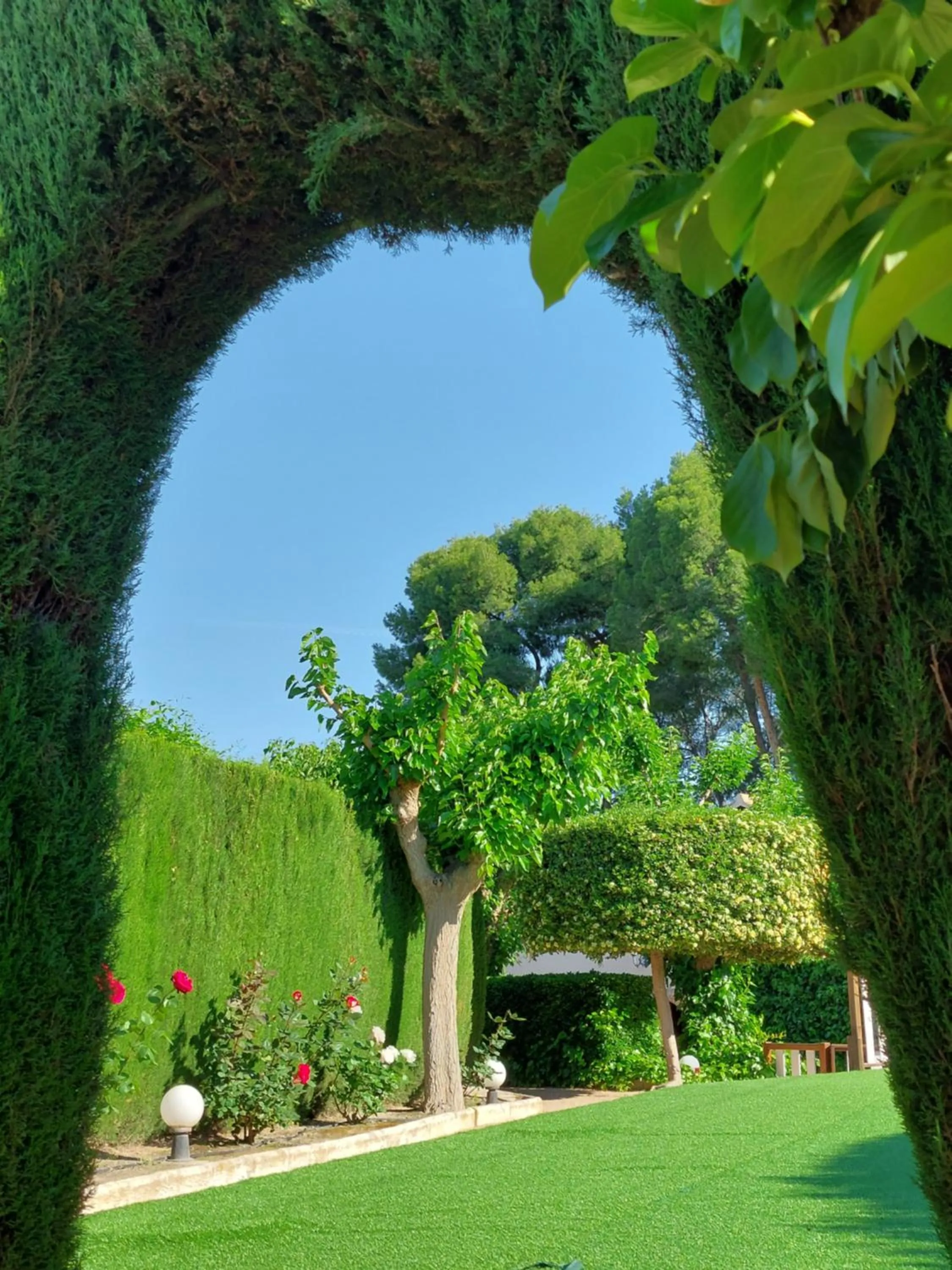 Garden in Casa de La Campana