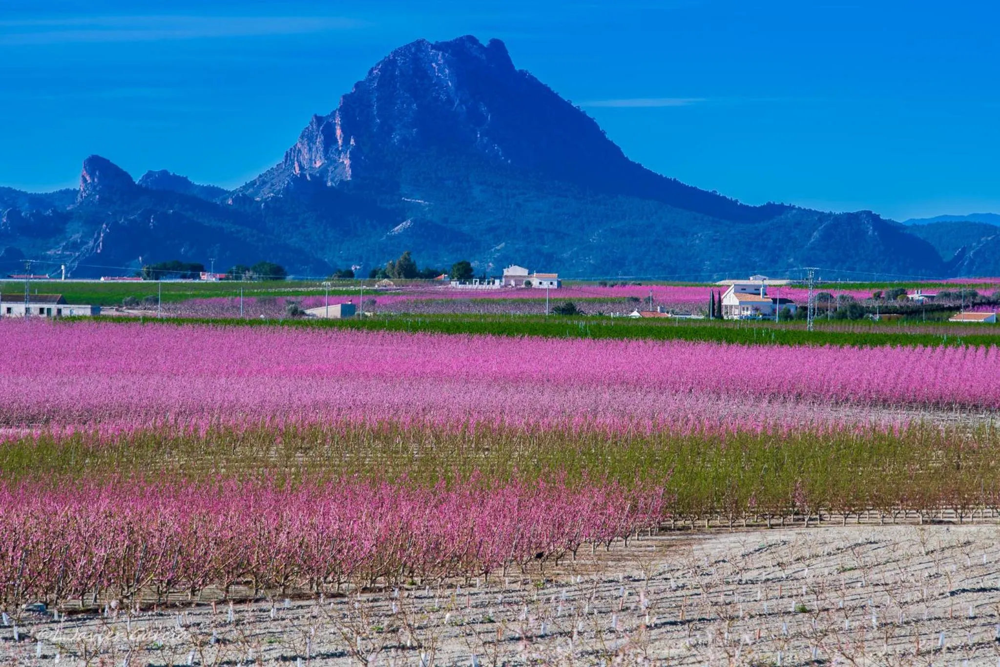 Activities in Casa de La Campana