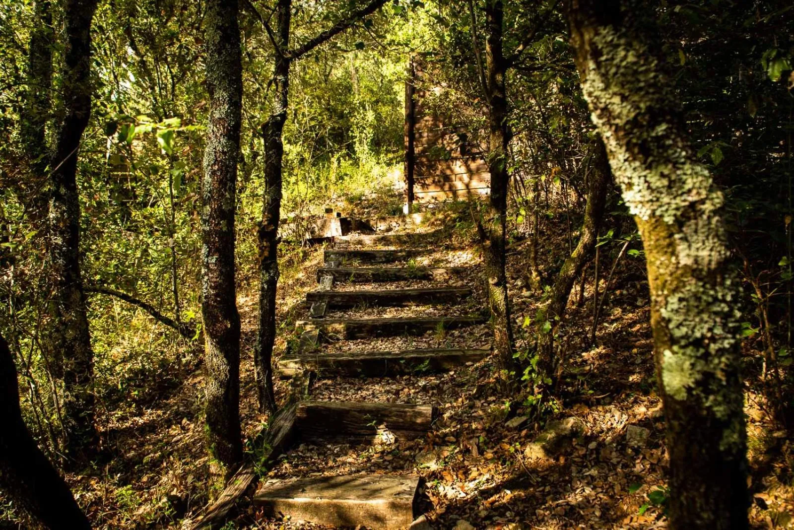 Natural landscape in Le Belvedere