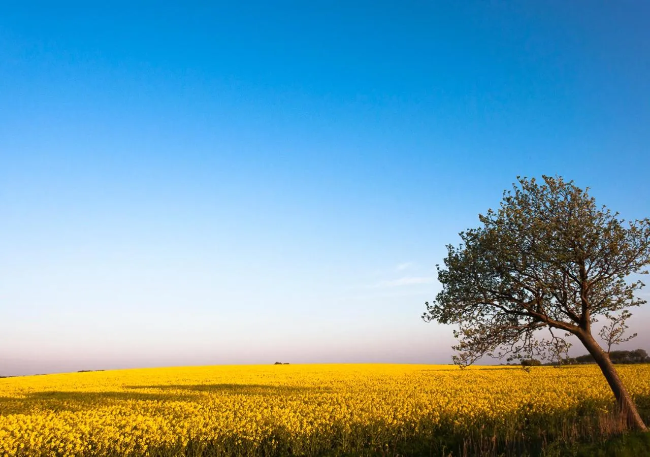 Natural landscape in Lindenhof Hotel Garni