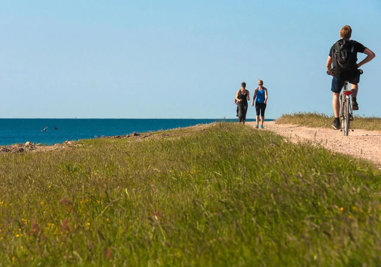 Cycling in Lindenhof Hotel Garni