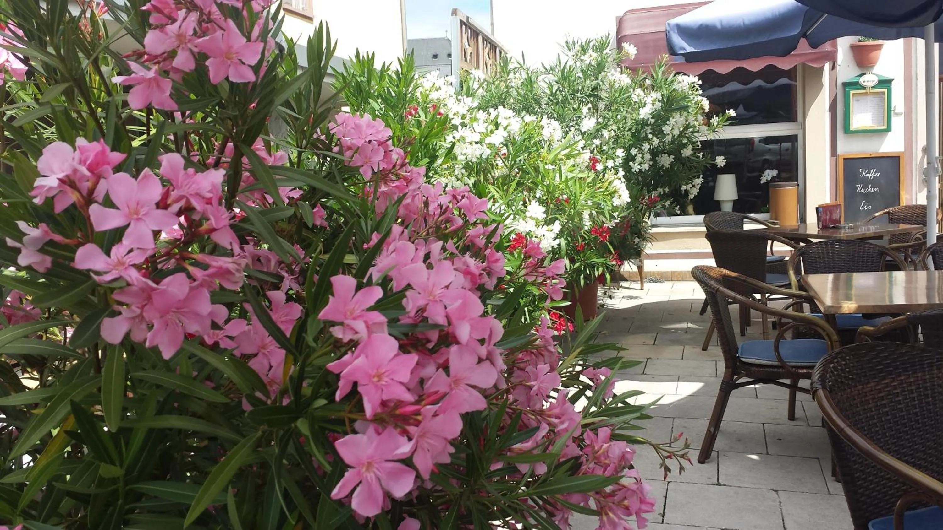 Balcony/Terrace in Hotel Krone Rüdesheim