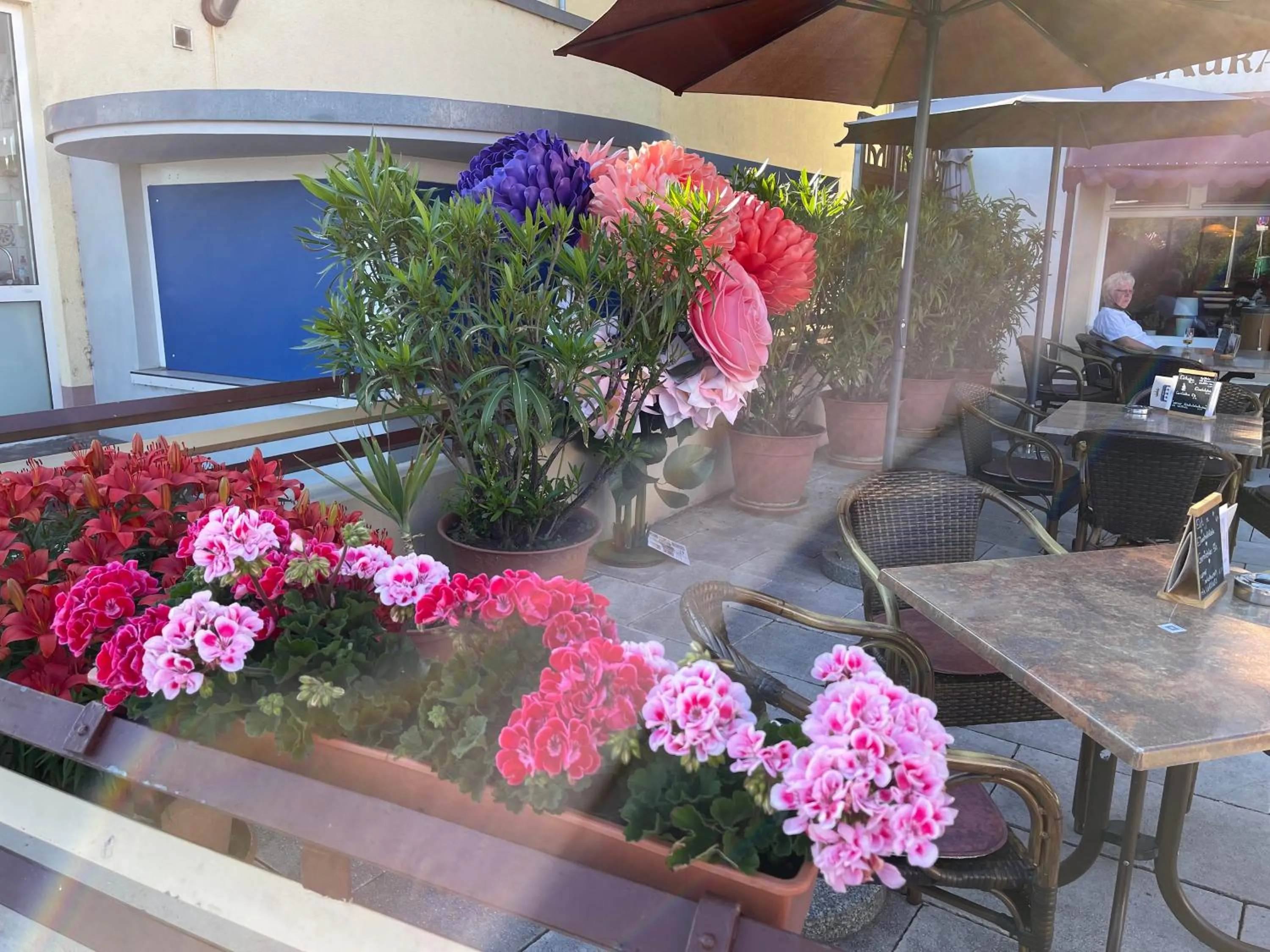 Balcony/Terrace in Hotel Krone Rüdesheim