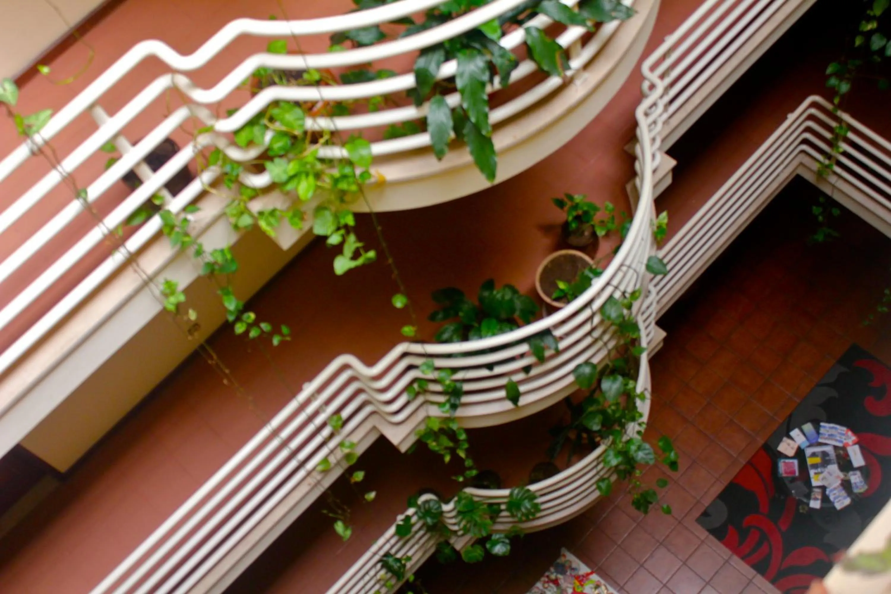 Decorative detail in Hotel Pantanha Nature & Fitness