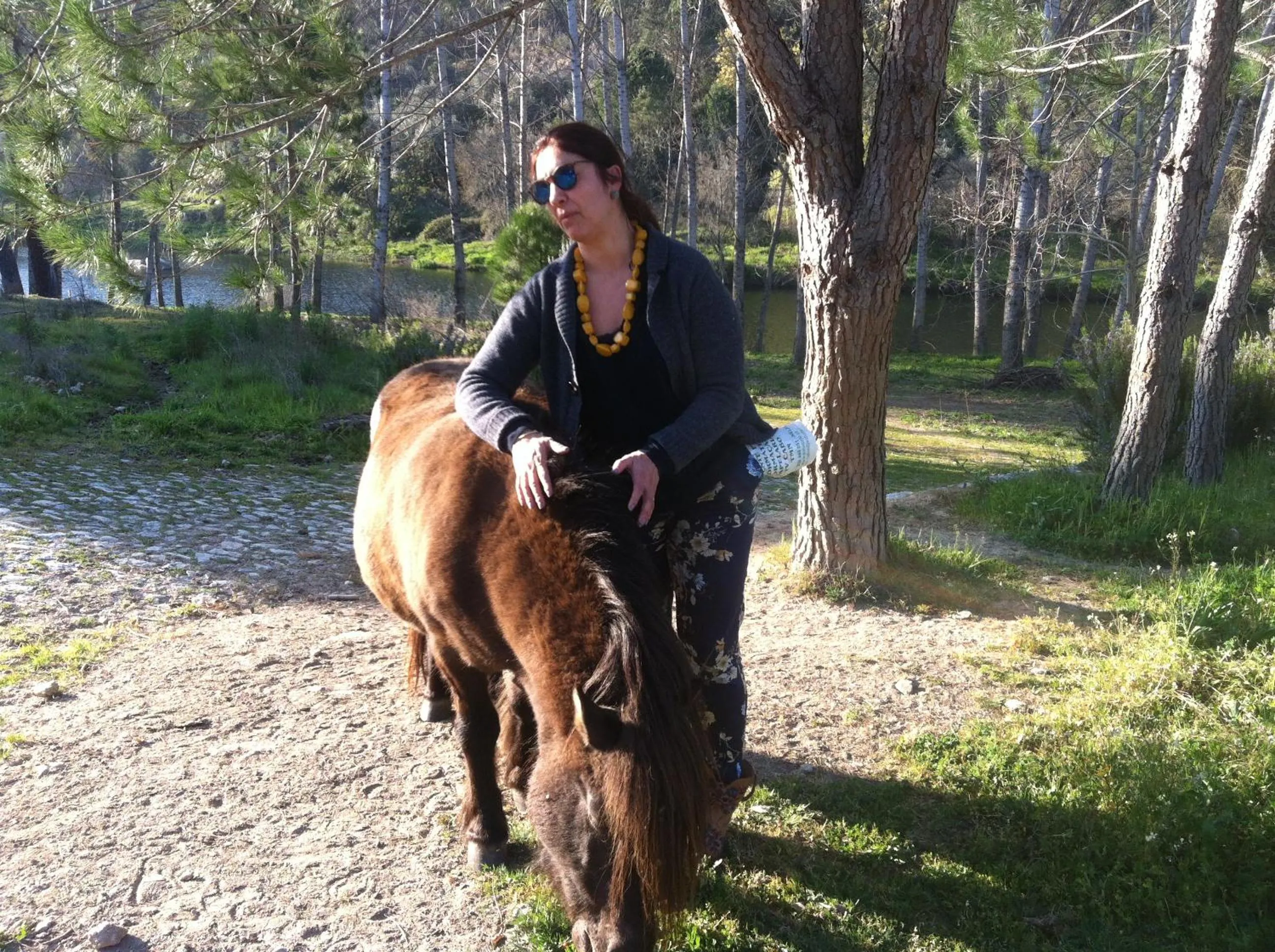 Animals in Hotel Pantanha Nature & Fitness