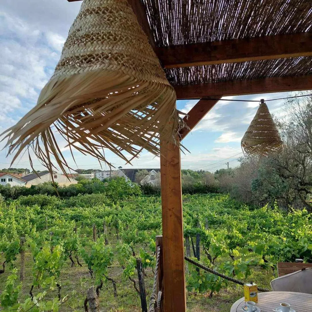 Hotel Pantanha Nature & Fitness