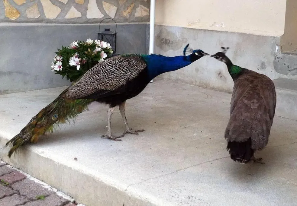 Le Domaine de Toussacq