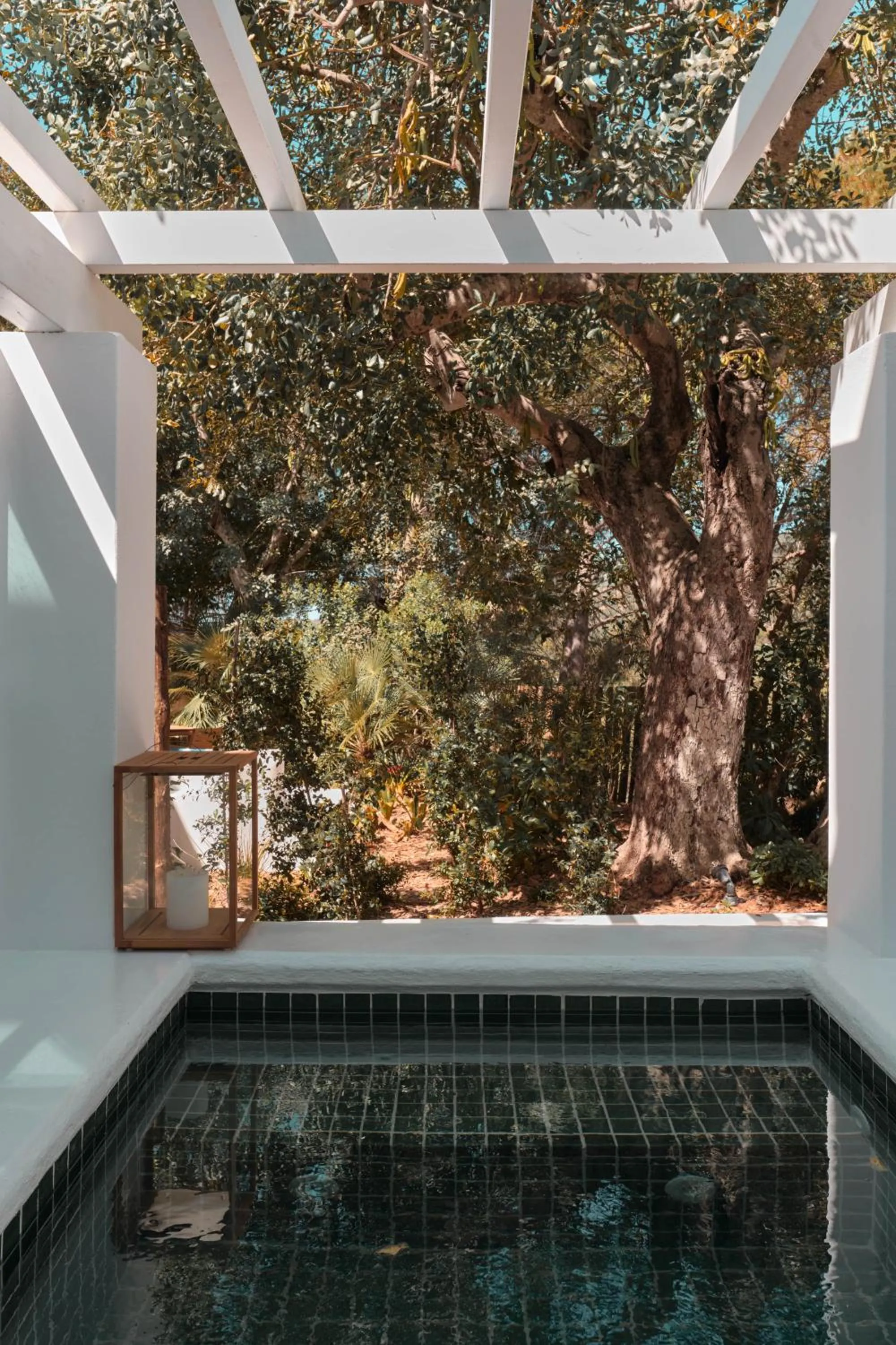 Day in Octant Vila Monte