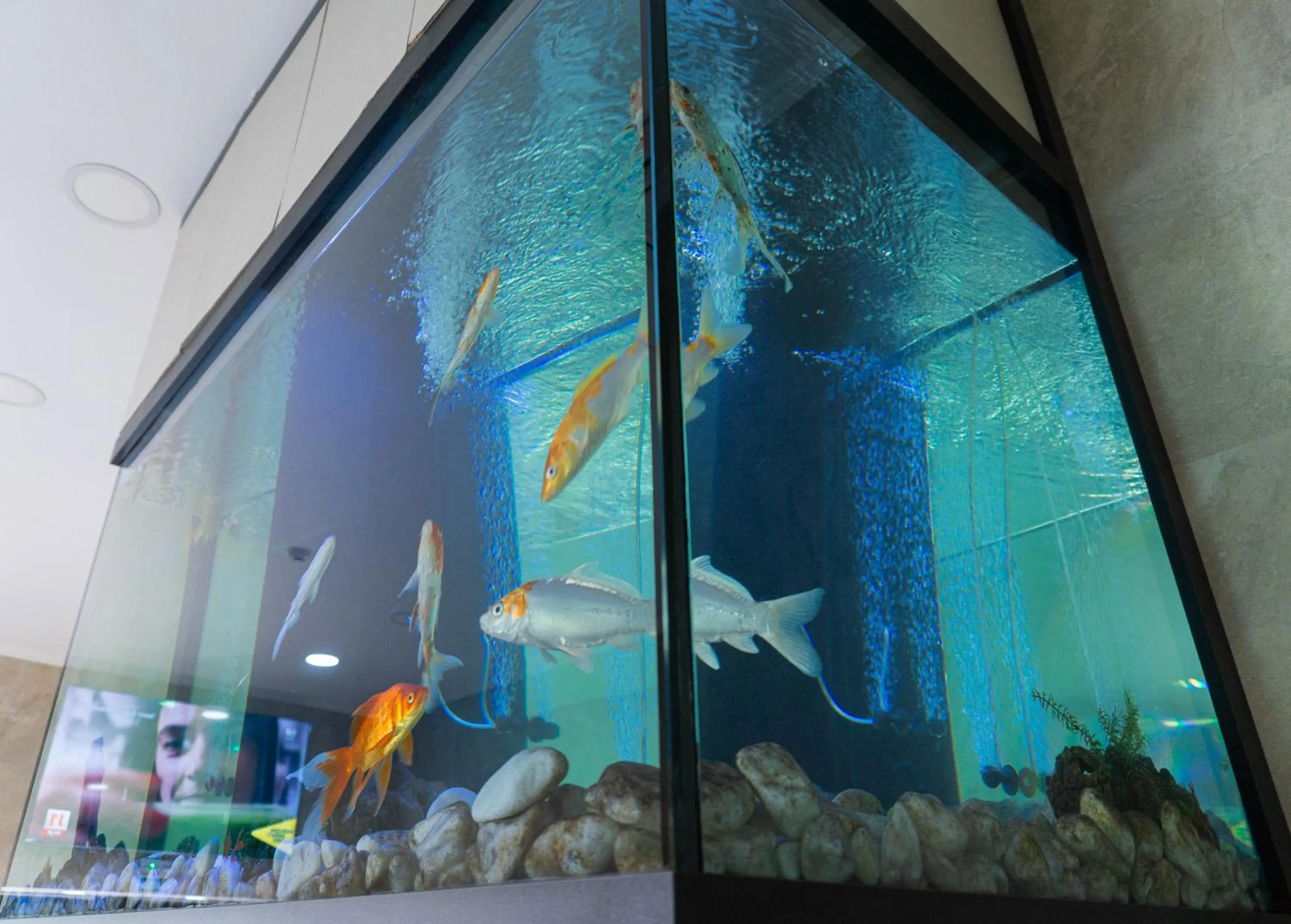 Lobby or reception in Residencial do Areeiro