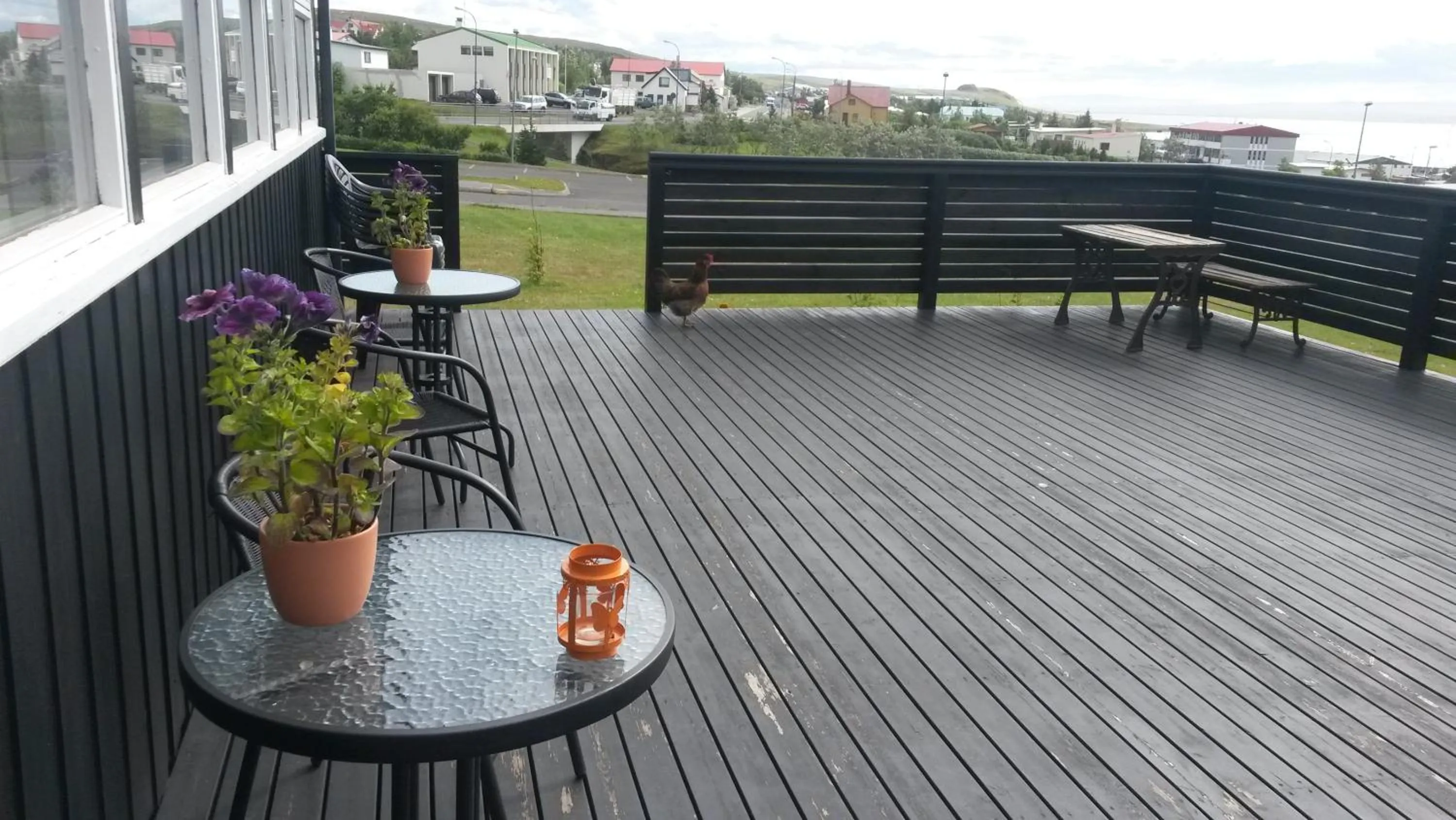 Patio in ALBERT Guesthouse