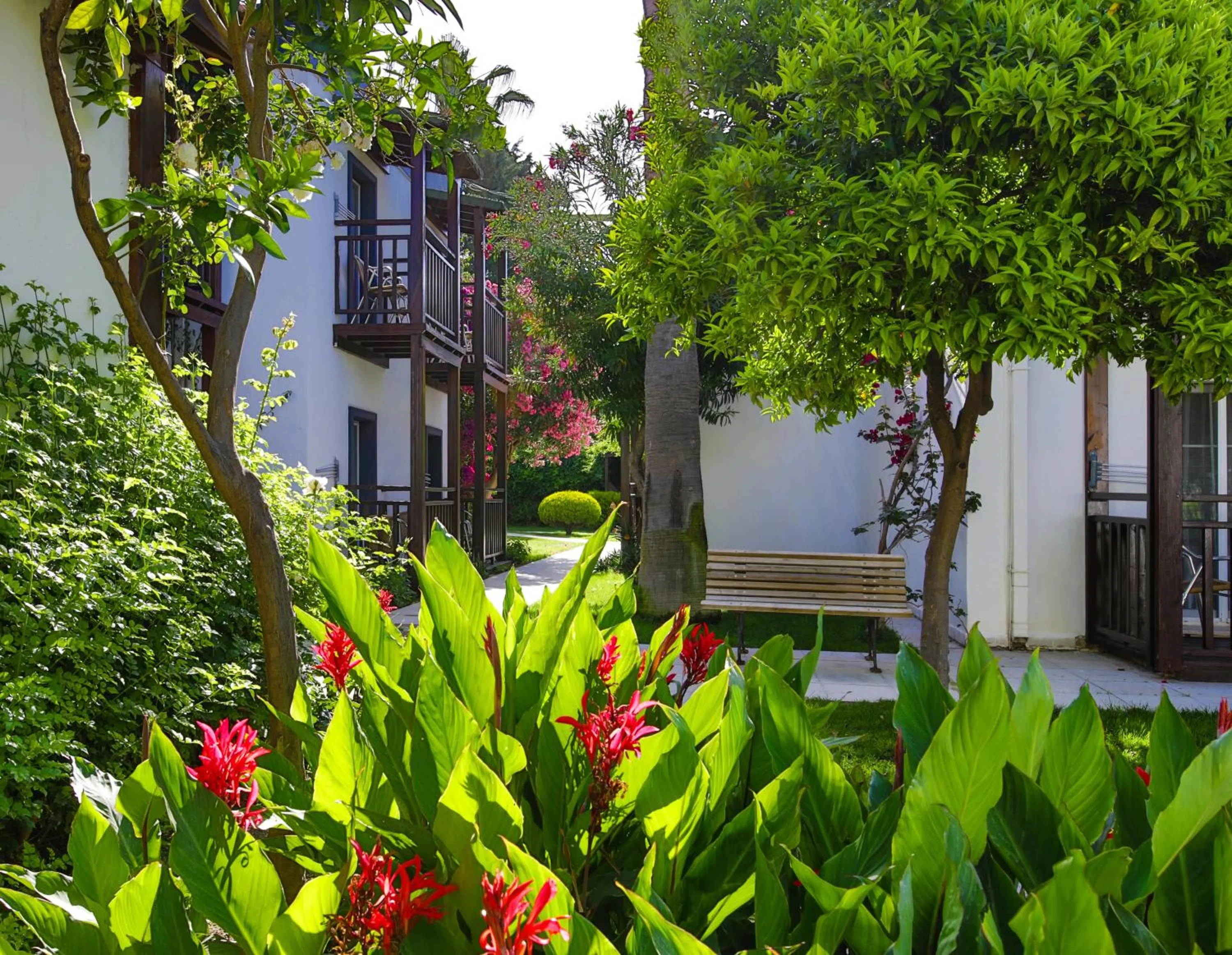 Patio in Bitez Garden Life