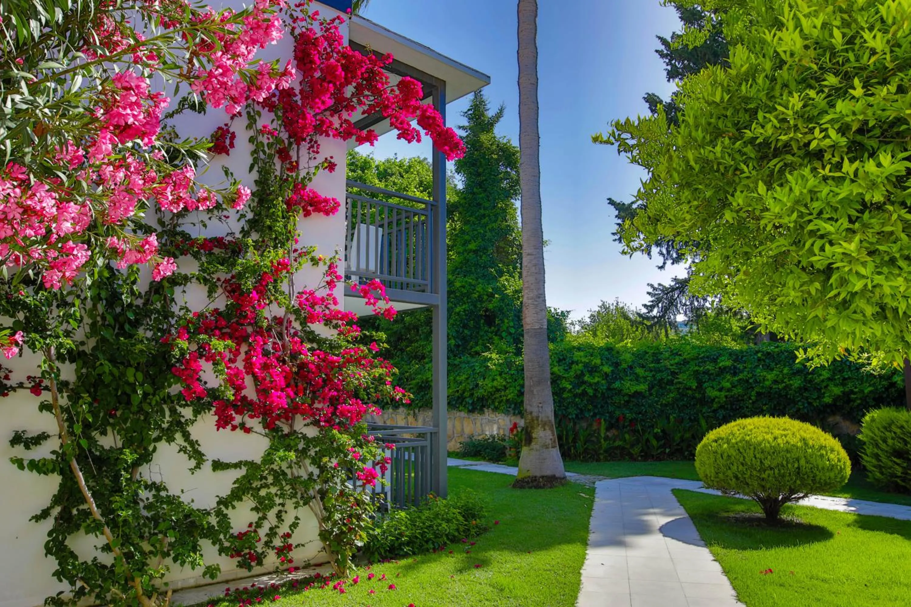 Property building in Bitez Garden Life