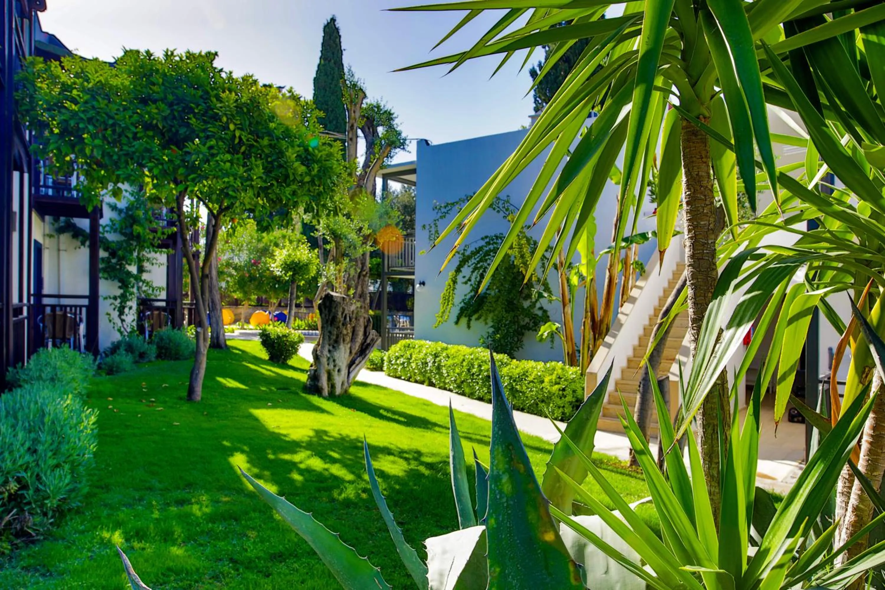 Property building in Bitez Garden Life