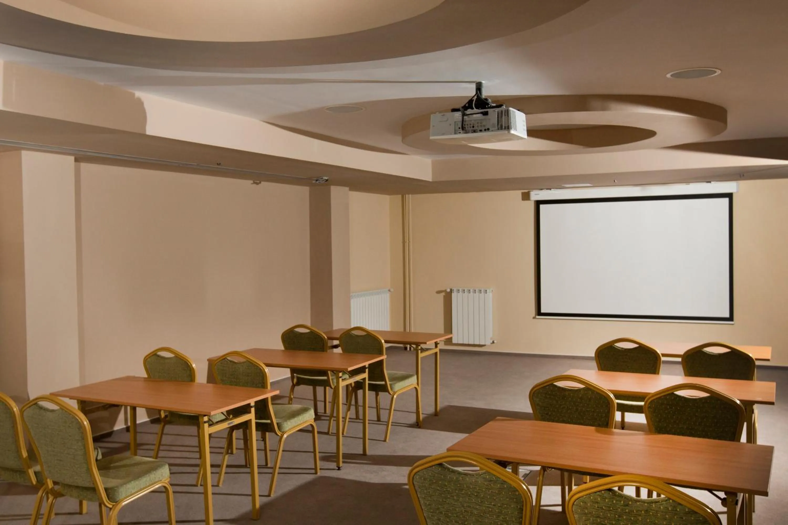 Business facilities in Hotel Pietroasa