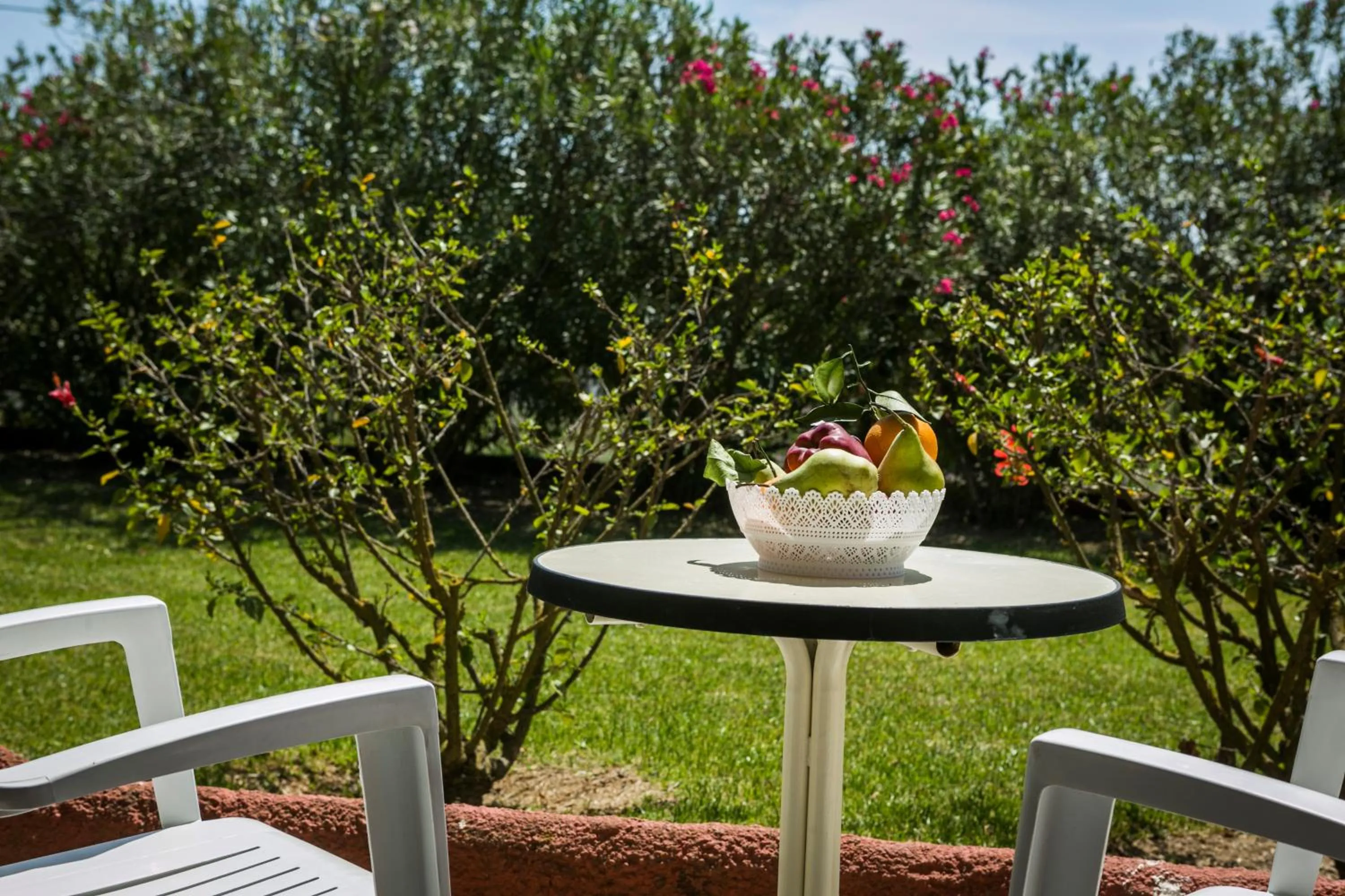 Balcony/Terrace in Dendrolivano