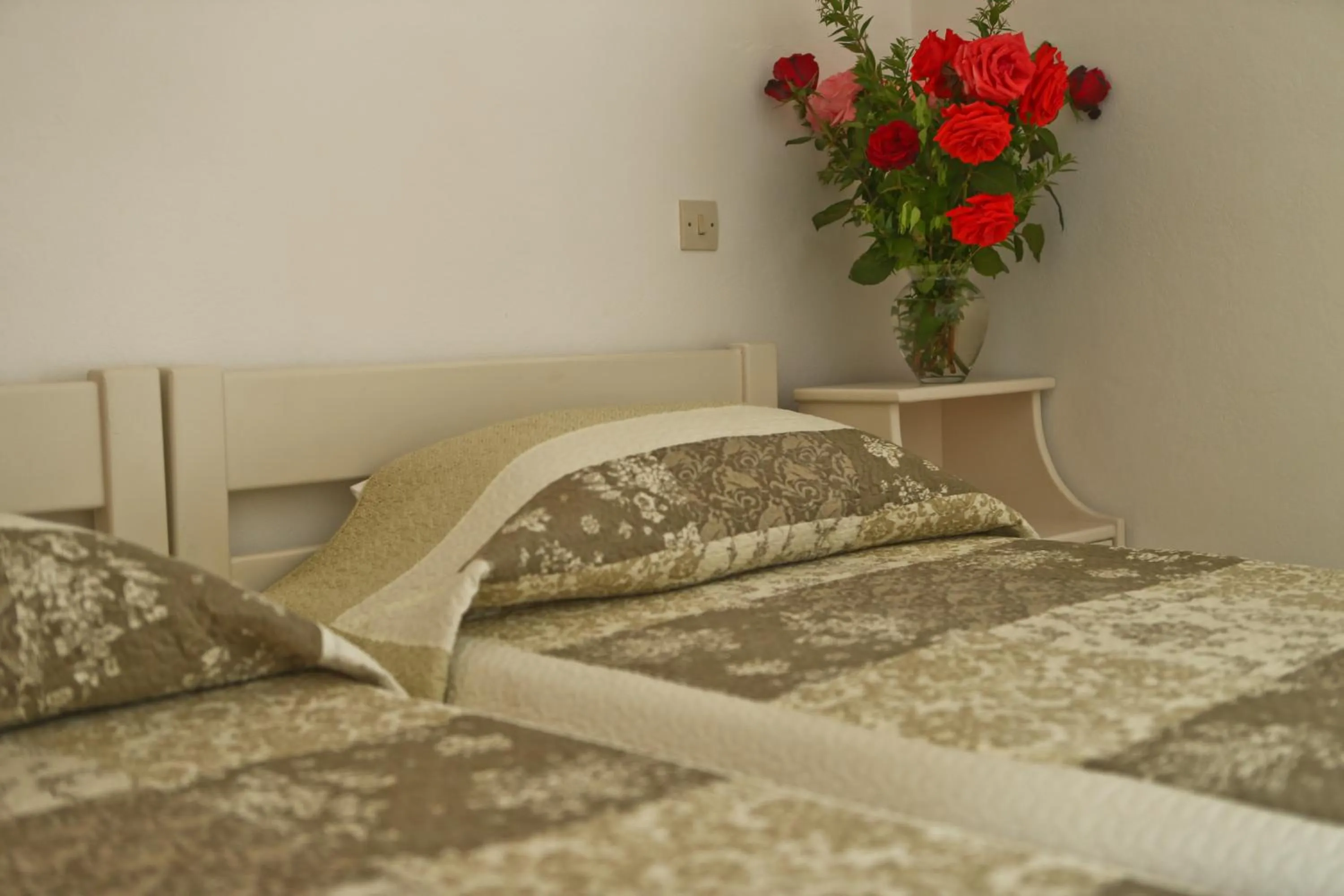 Photo of the whole room, Bed in Dendrolivano