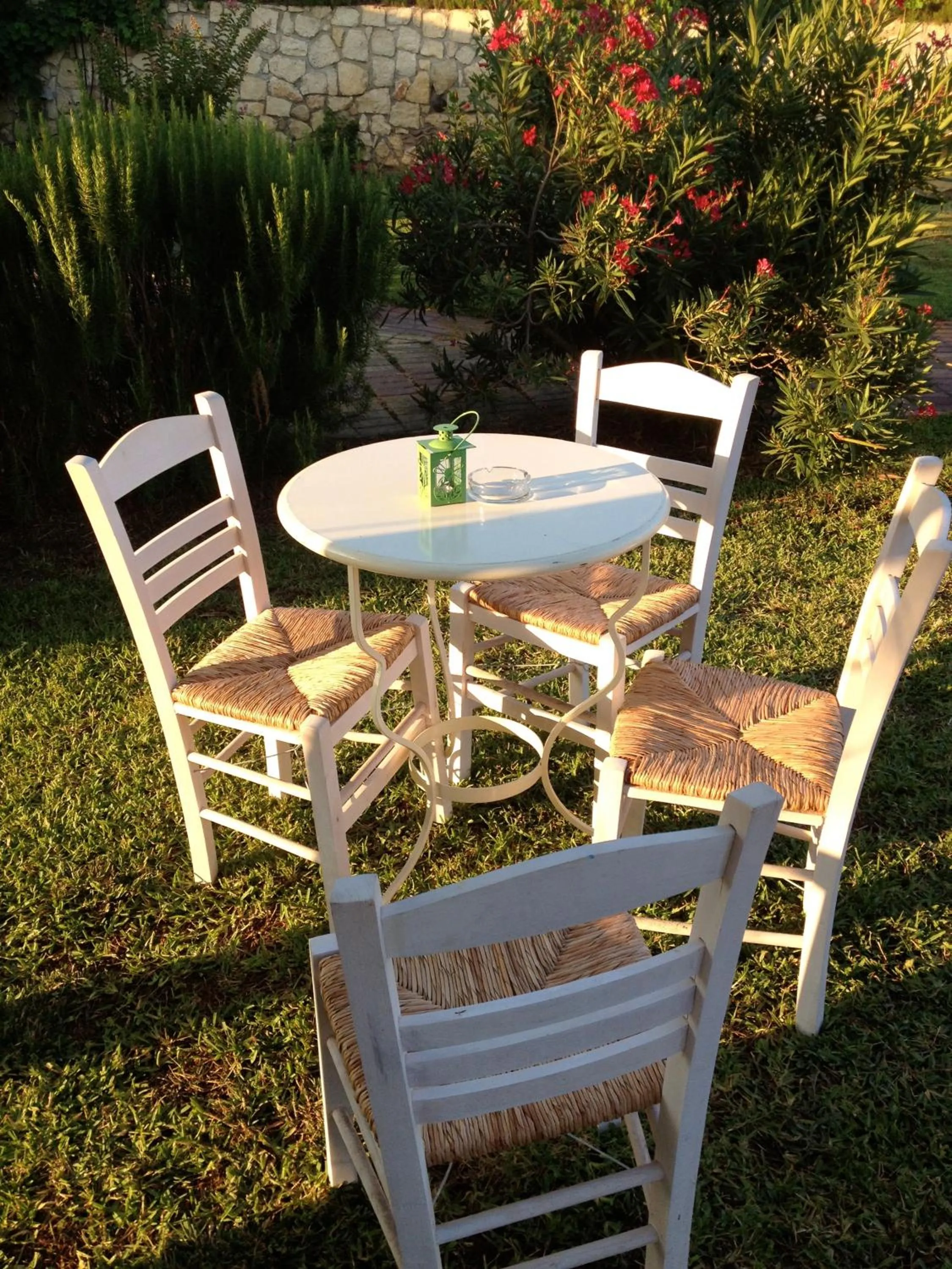 Garden in Dendrolivano